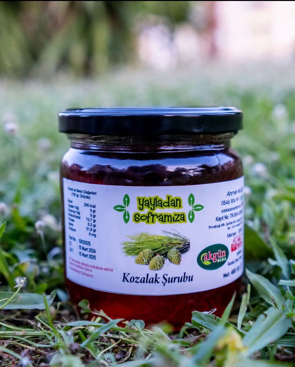 Kozalak Şurubu 460 Gr