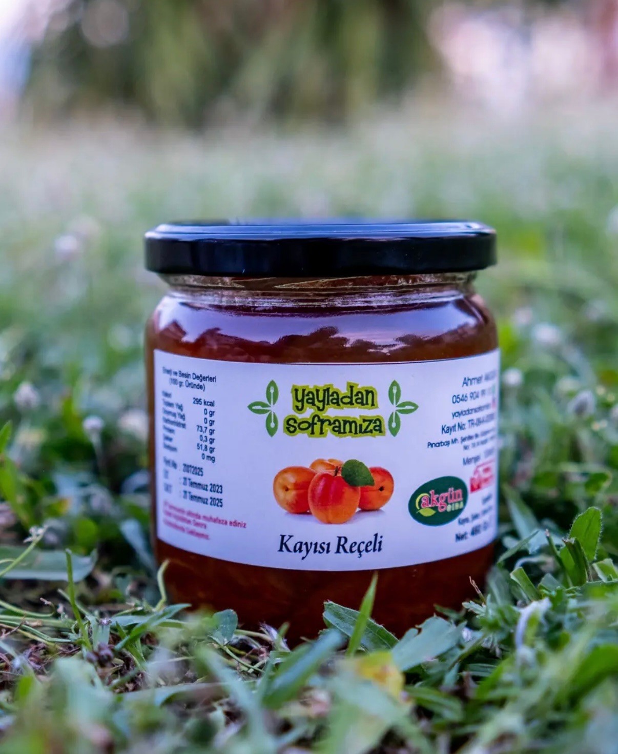Kayısı Reçeli 460 Gr