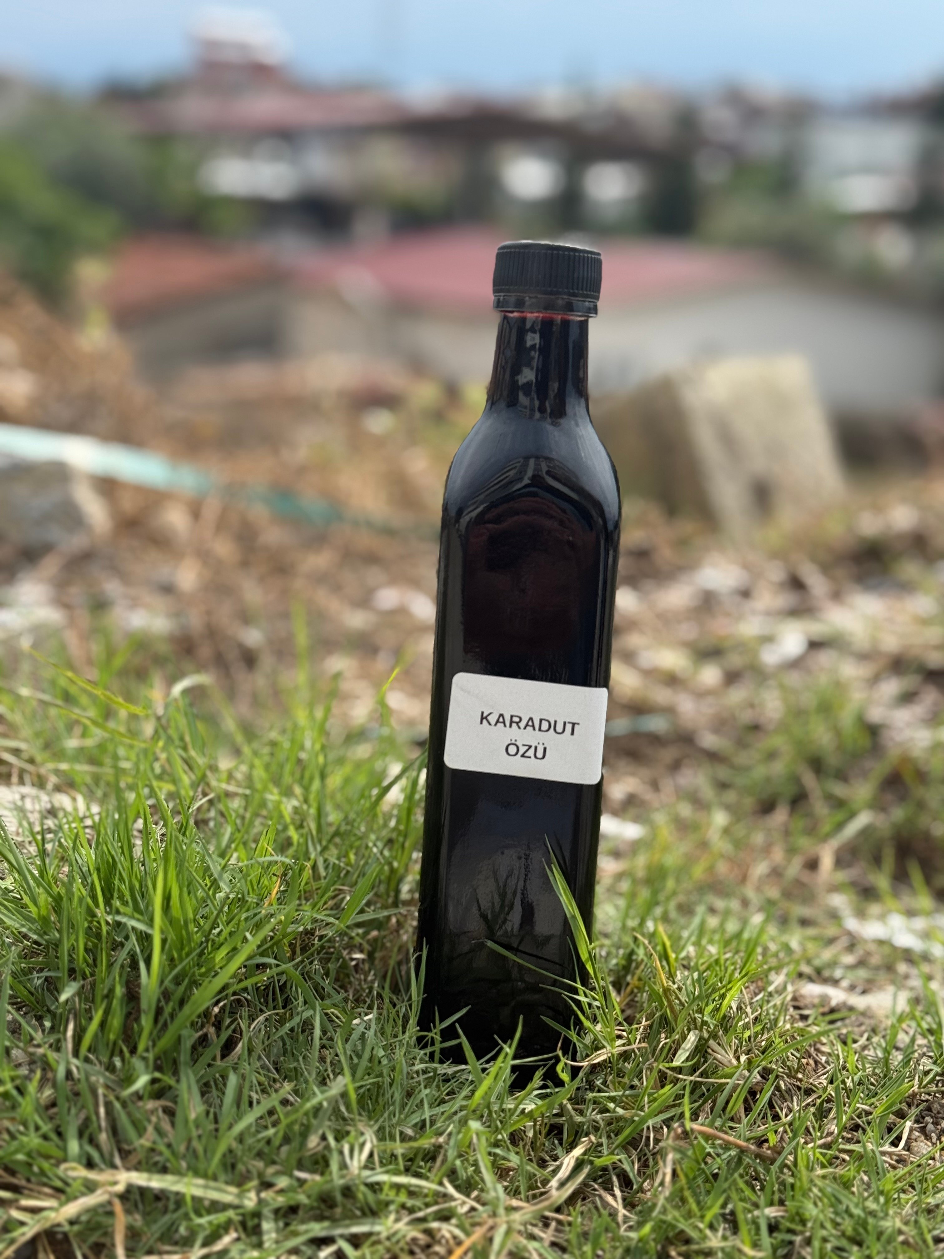 Karadut özü 700gr