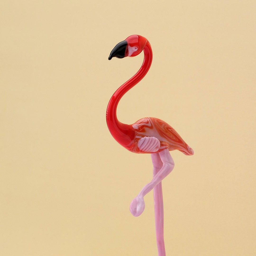 Flamingo Cam Biblo