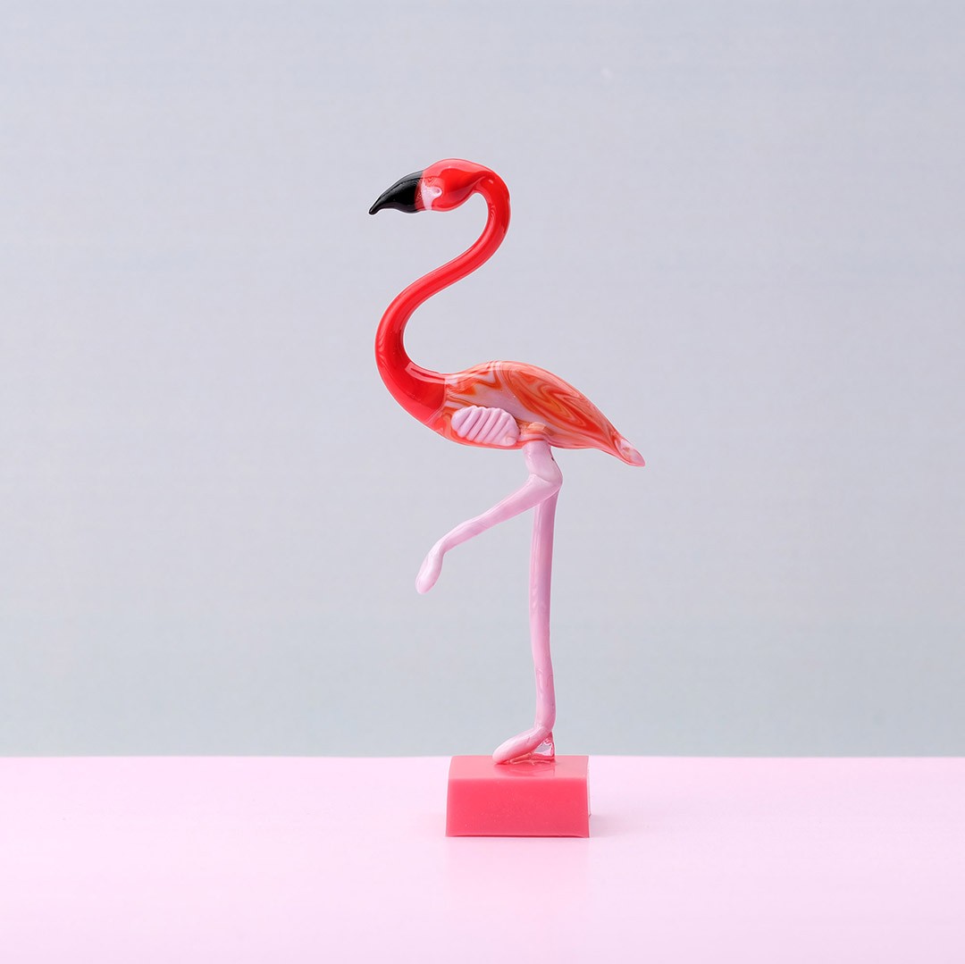 Flamingo Cam Biblo