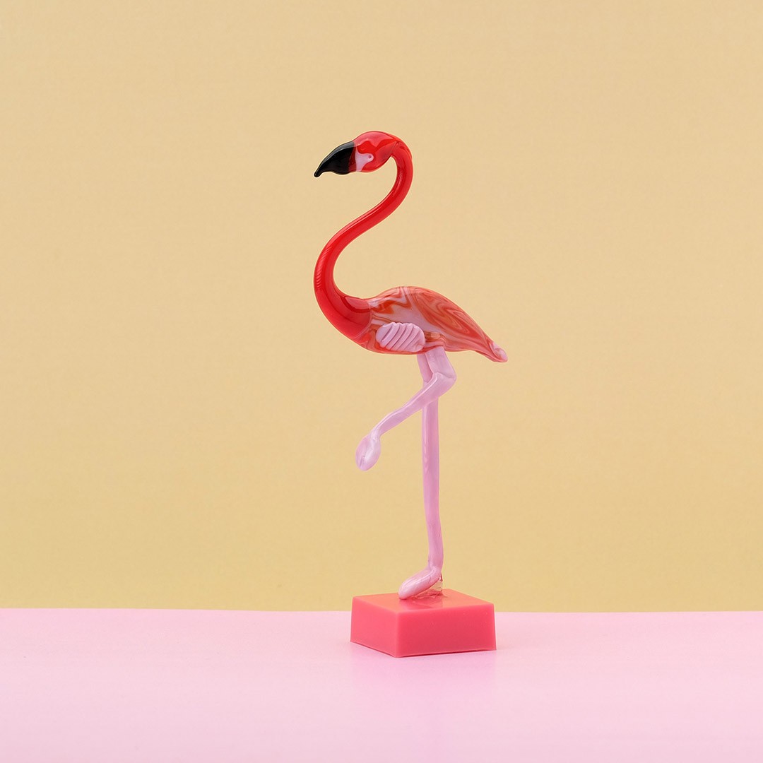 Flamingo Cam Biblo