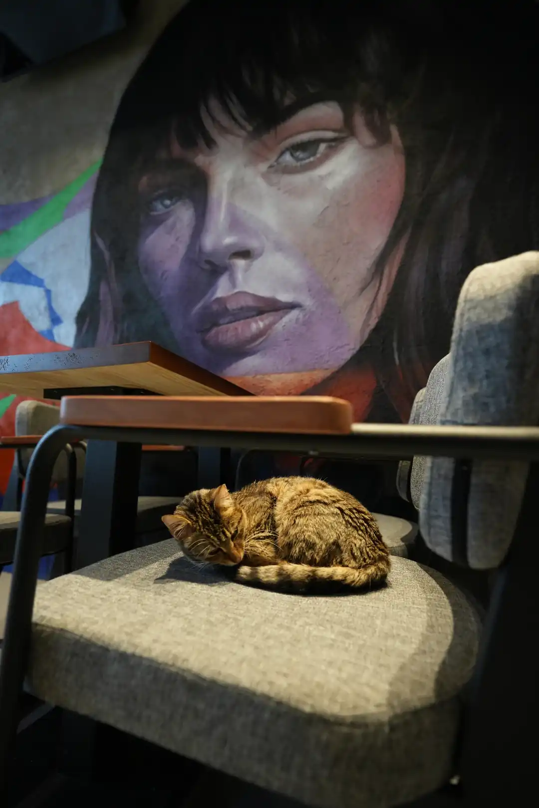 BLAK Coffee Co. Çekmeköy Park