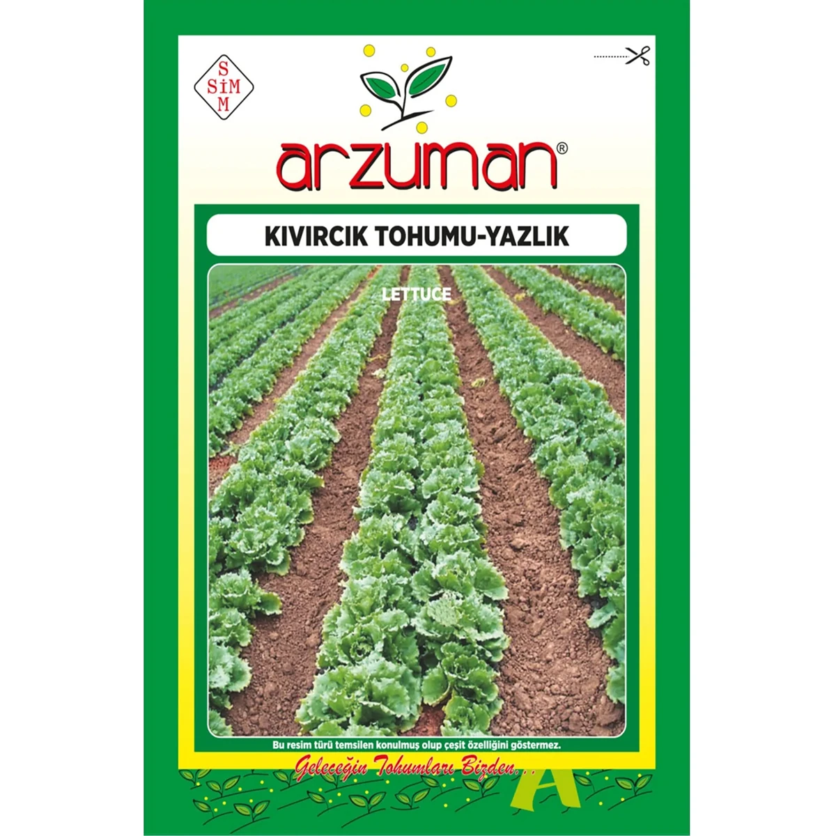 Marul Tohumu (Kıvırcık Yazlık) 10 gr