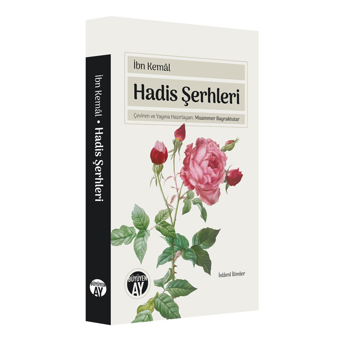 Hadis Şerhleri - İbn Kemâl