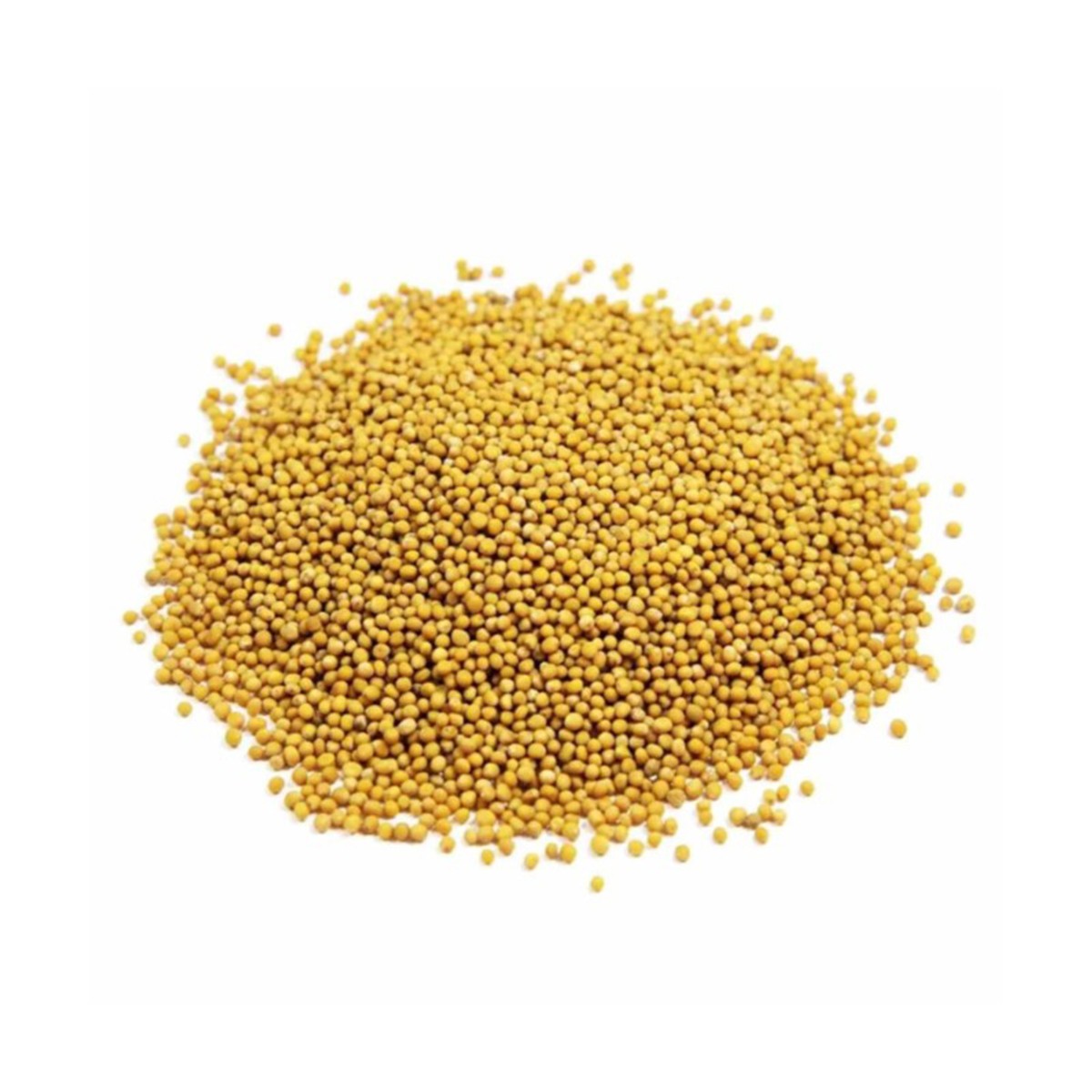 Sarı Hardal Tohumu 250 gr