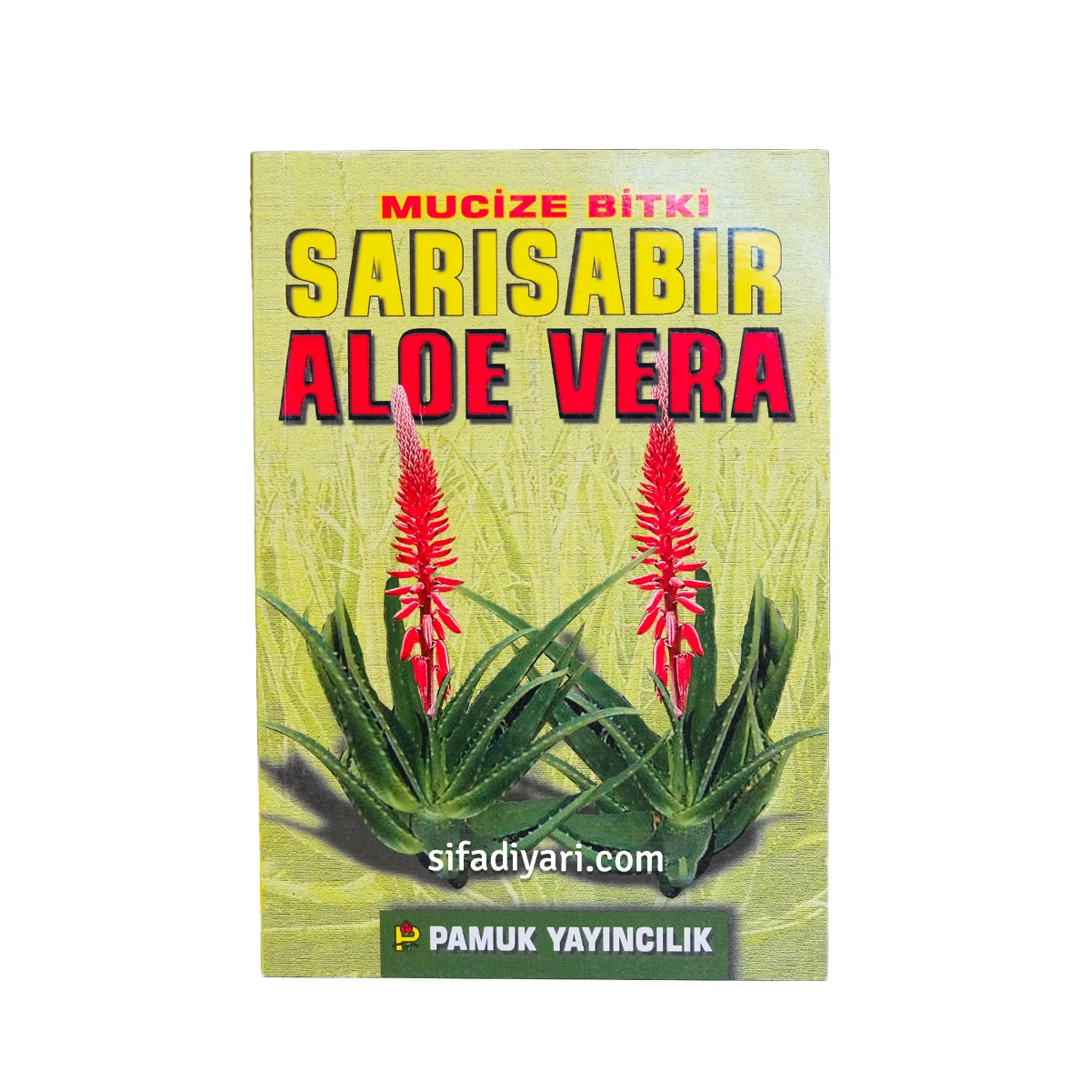 Mucize Bitki Sarısabır Aloe Vera