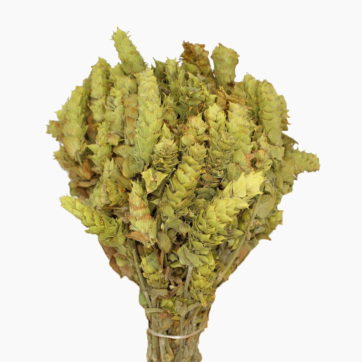 Adaçayı Alanya 50 gr