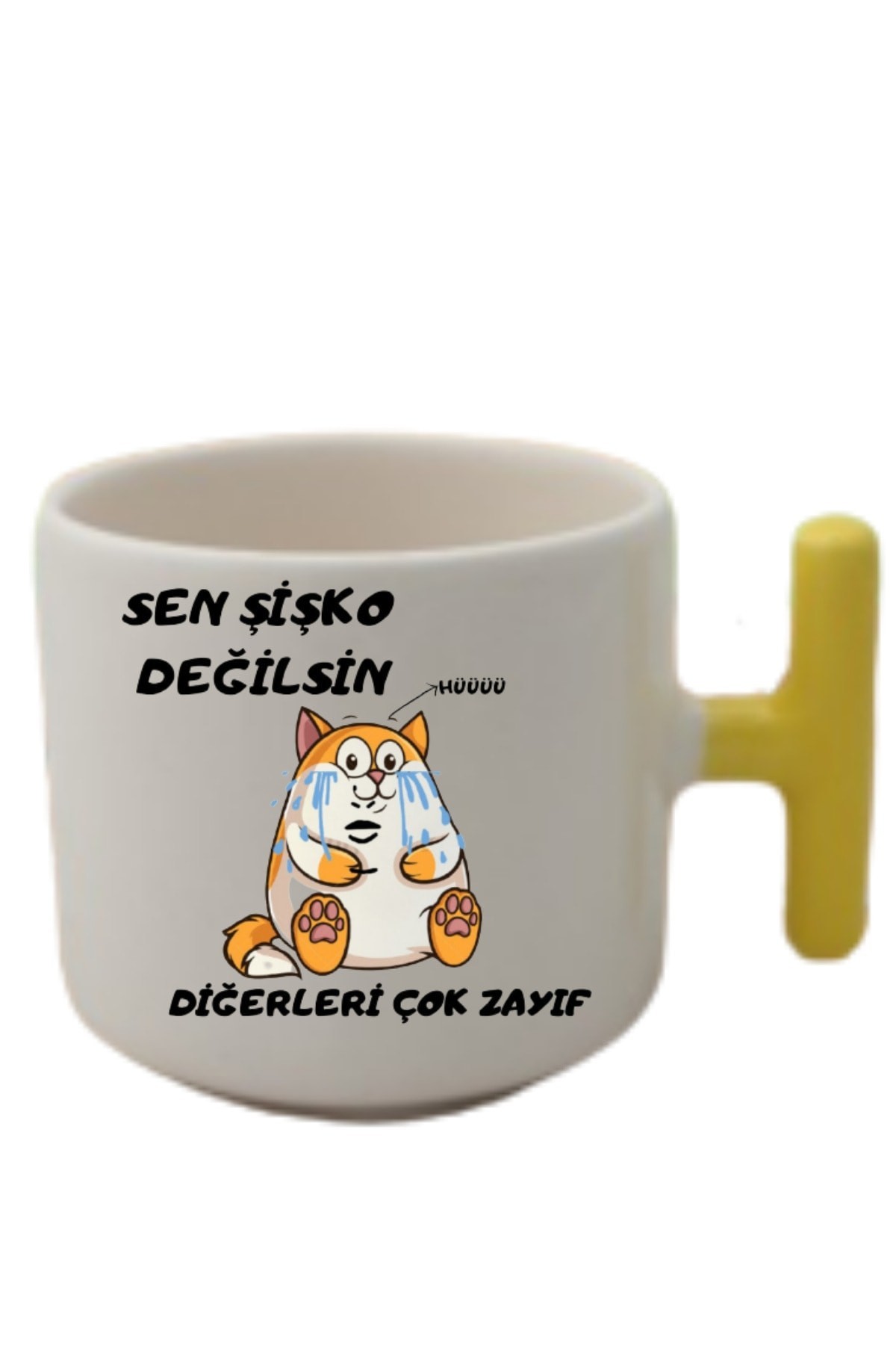 Sen Şişko Değilsin T Kulp Fincan