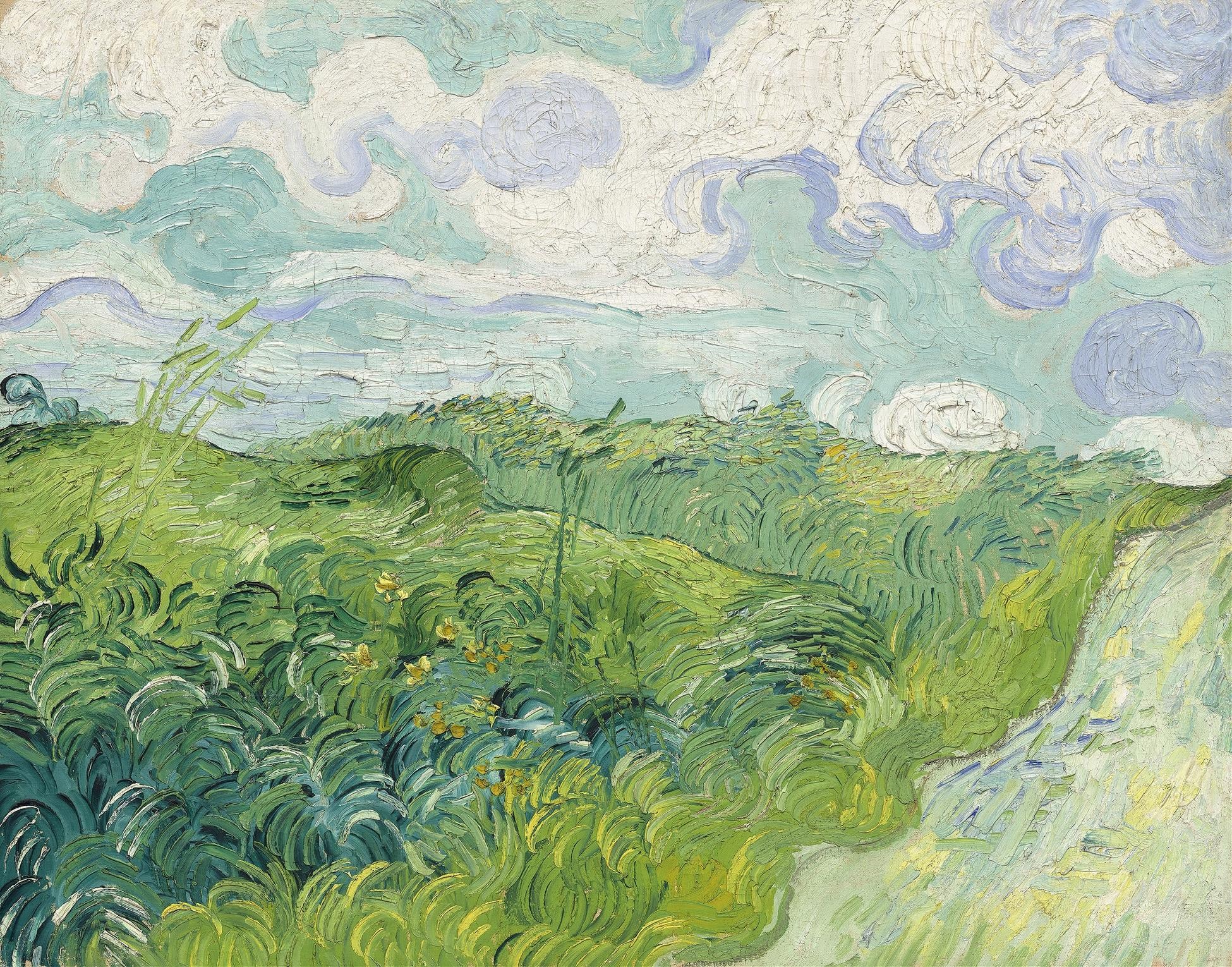 Vincent Van Gogh - Yeşil Buğday Tarlaları