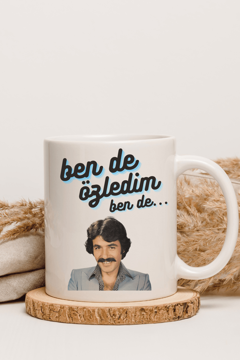 Ben de Özledim Ben de - Ferdi Tayfur