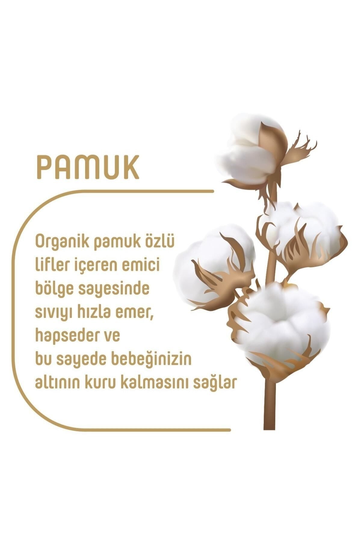 Organik Pamuklu Islak Havlu 24×90 (2160 Yaprak)