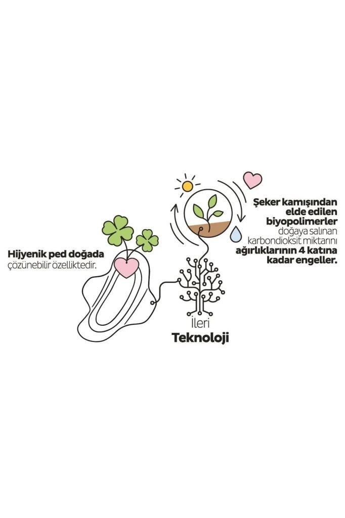 Sleepy Ecologic Premium Plus Hijyenik Uzun Ped 20 Adet