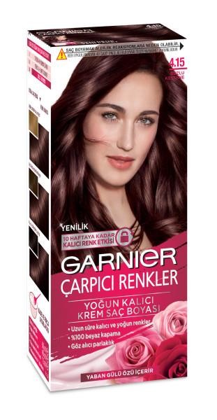 Garnier Çarpıcı Renkler Krem Saç Boyası - 4.15 Buzlu Kestane