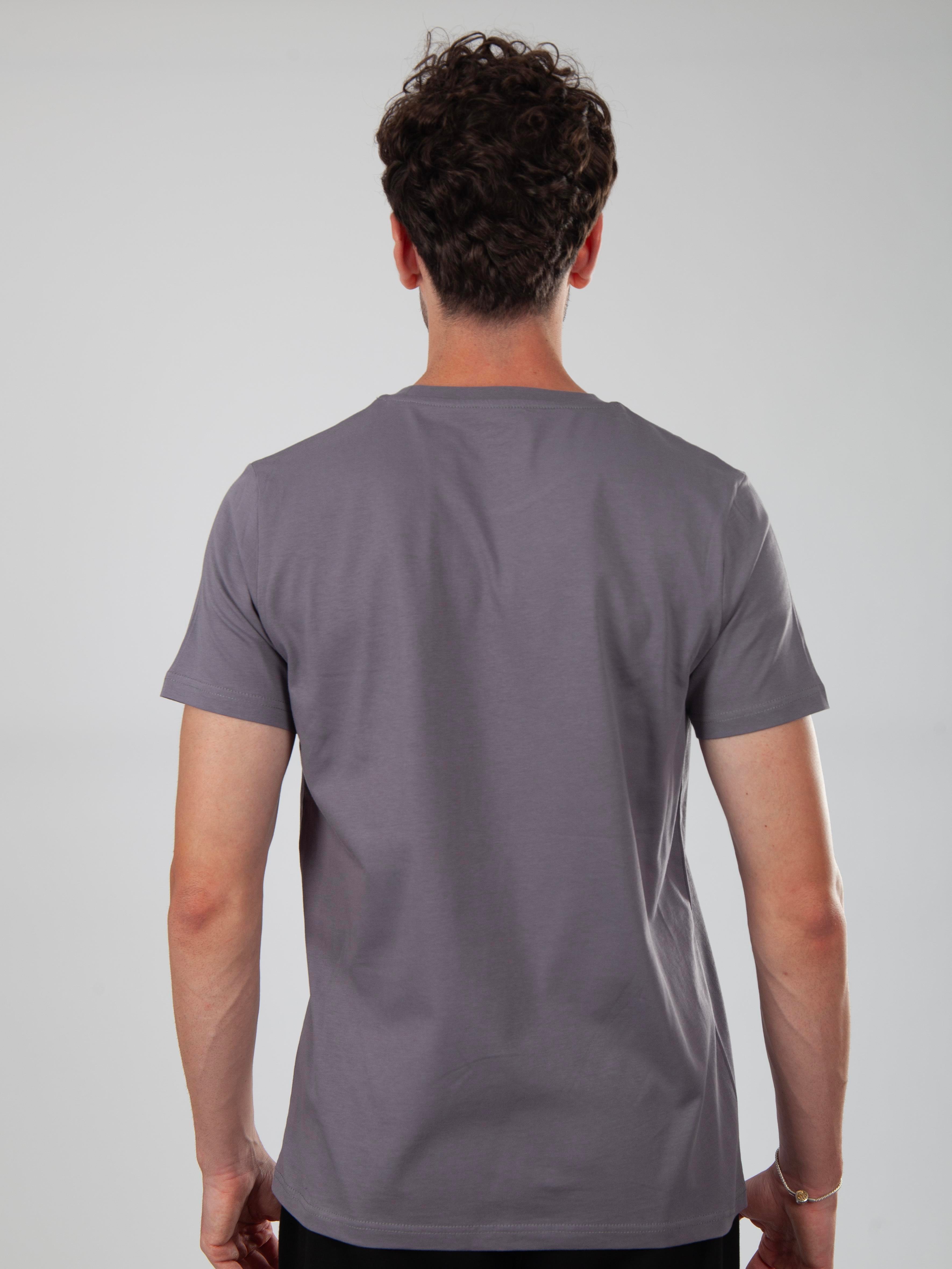 Basic Regular T-Shirt Erkek - Füme C102