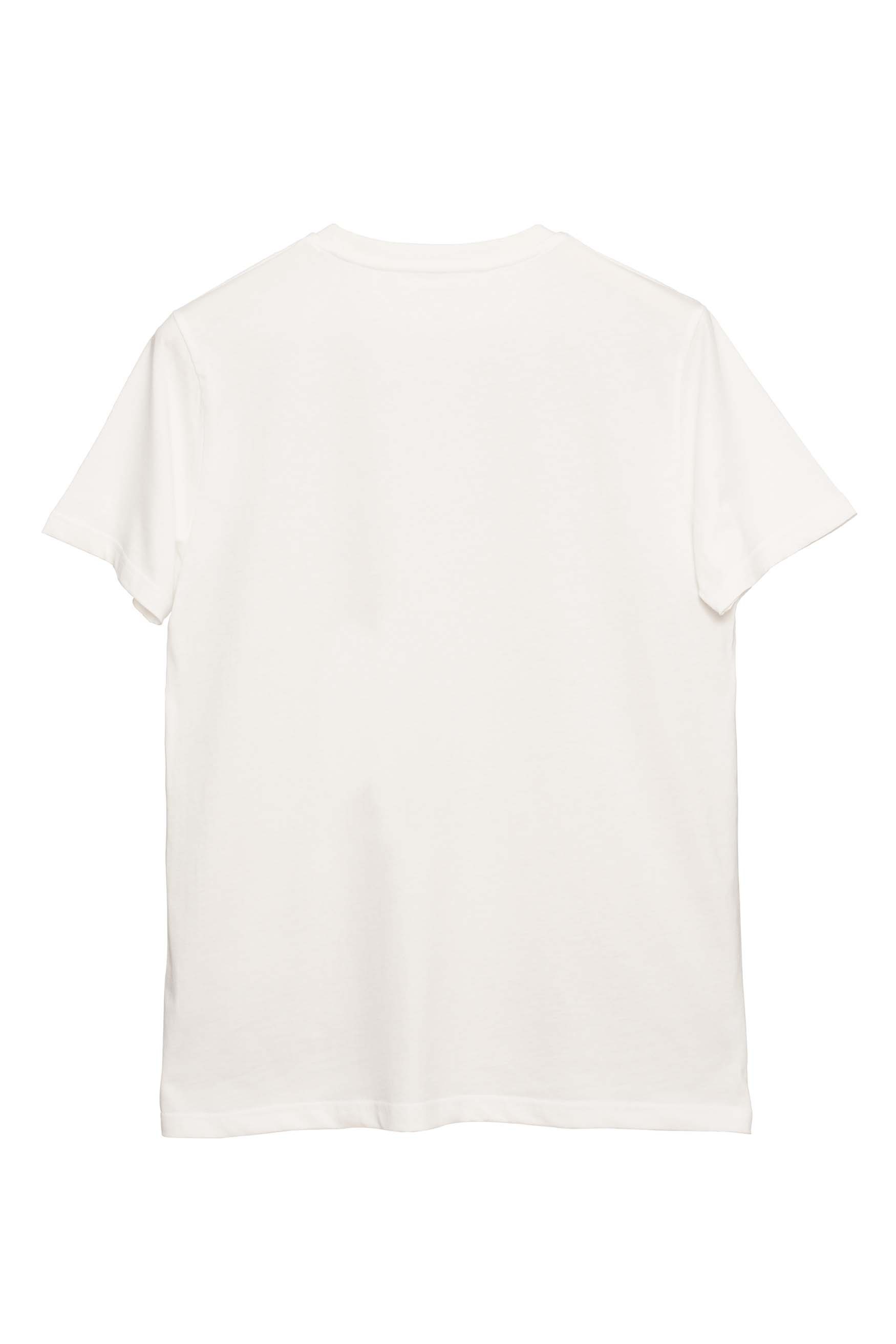 Basic Regular T-Shirt Erkek - Ekru C102