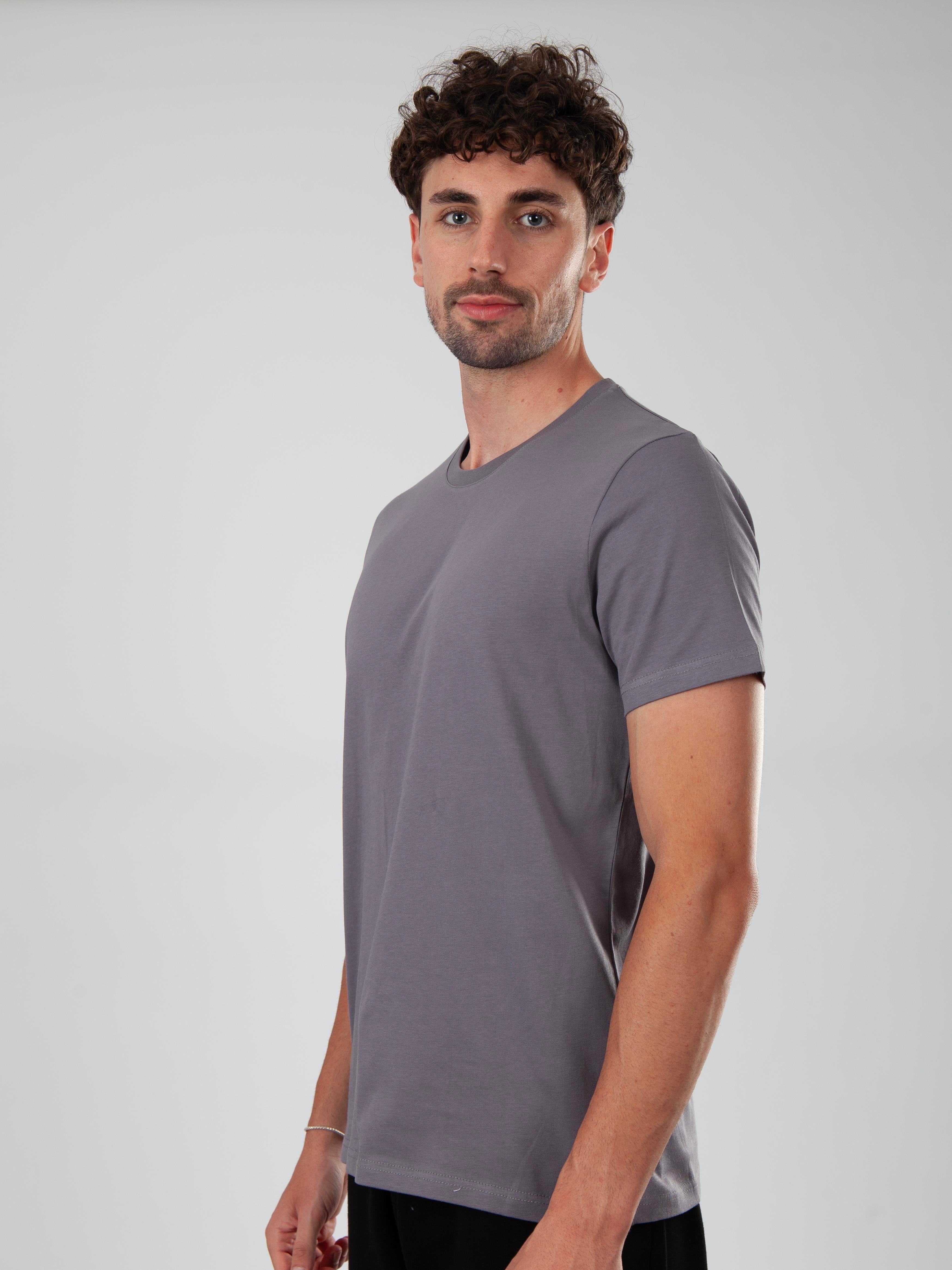 Basic Regular T-Shirt Erkek - Füme C102