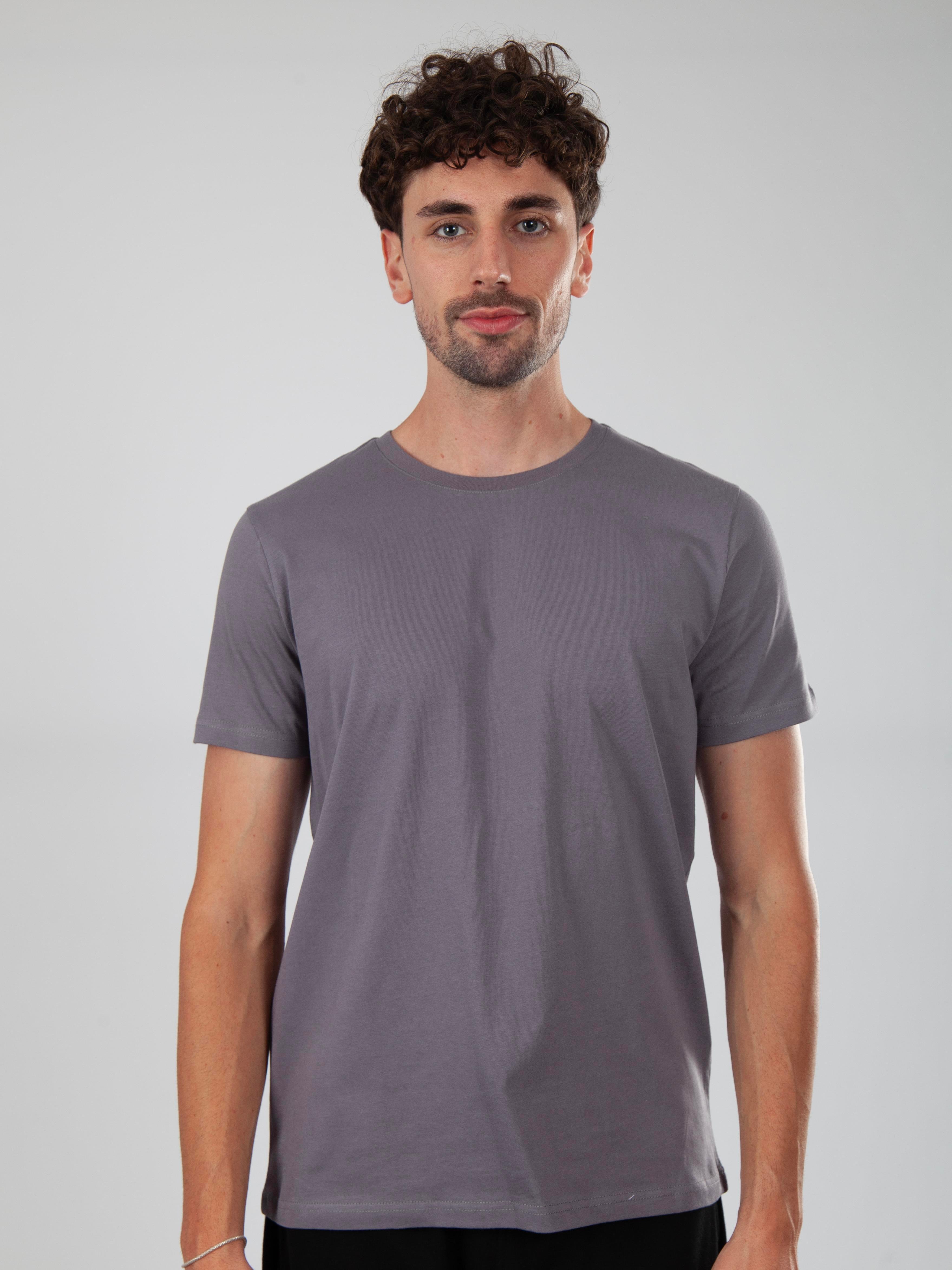 Basic Regular T-Shirt Erkek - Füme C102