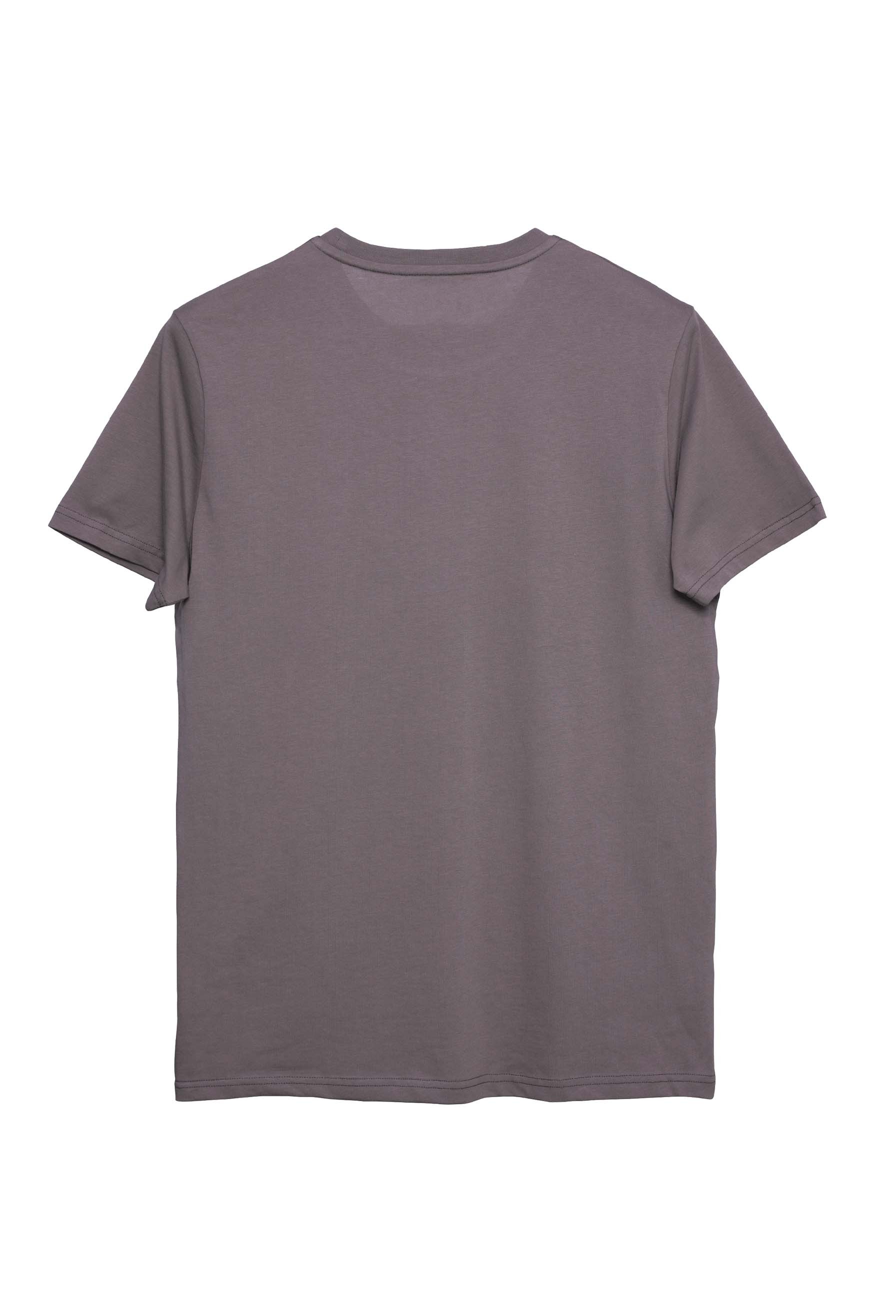 Basic Regular T-Shirt Erkek - Füme C102