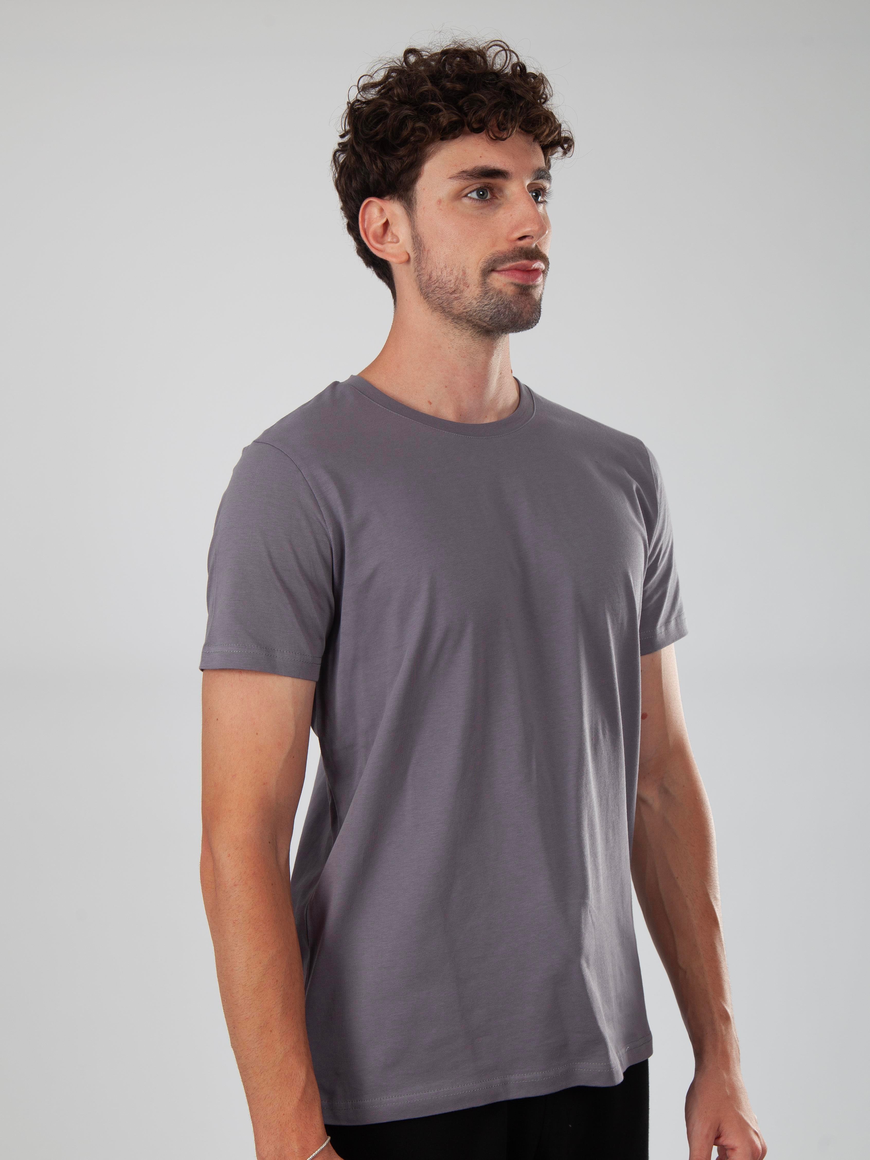 Basic Regular T-Shirt Erkek - Füme C102