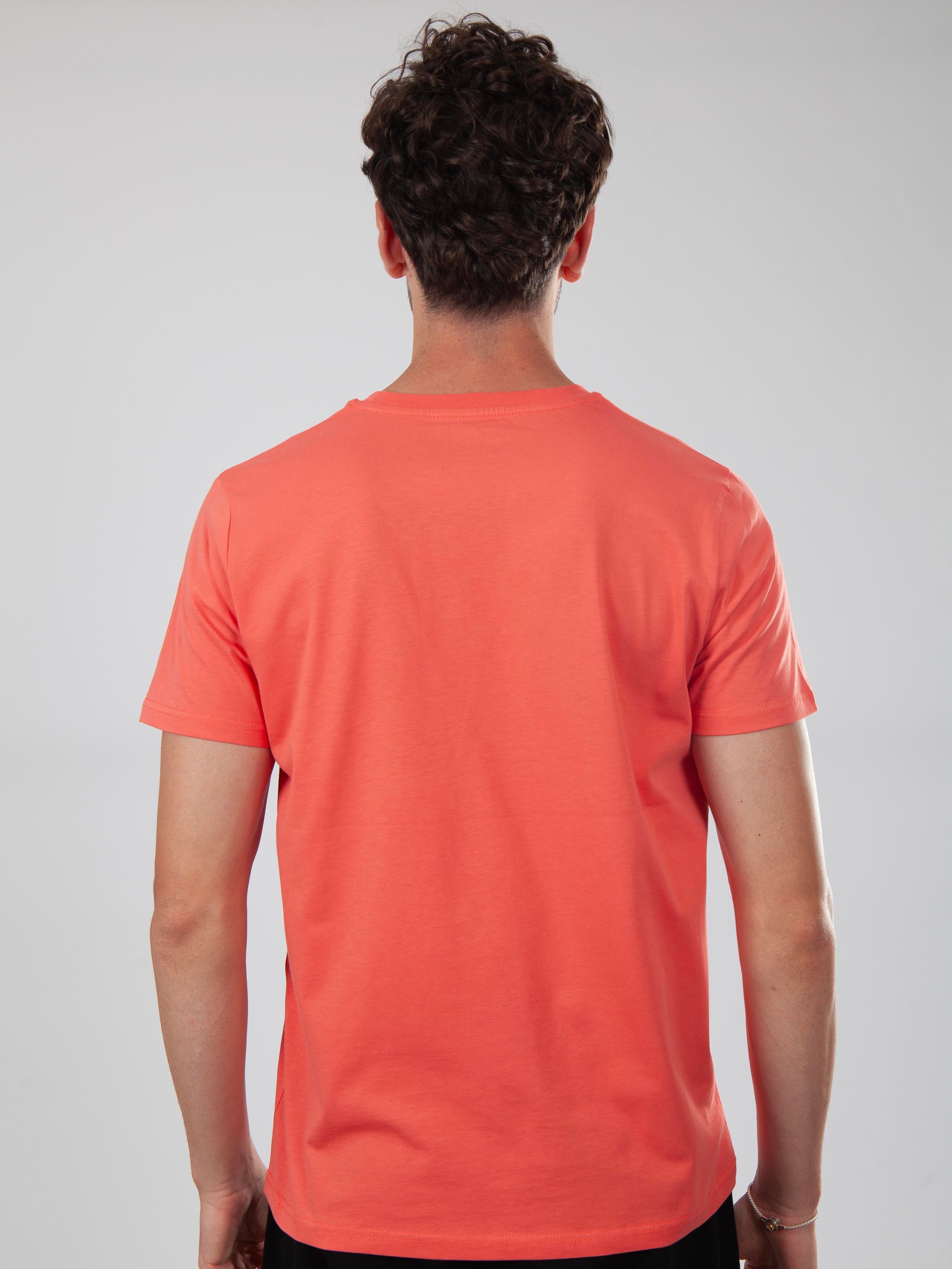 Basic Regular T-Shirt Erkek - Somon C102