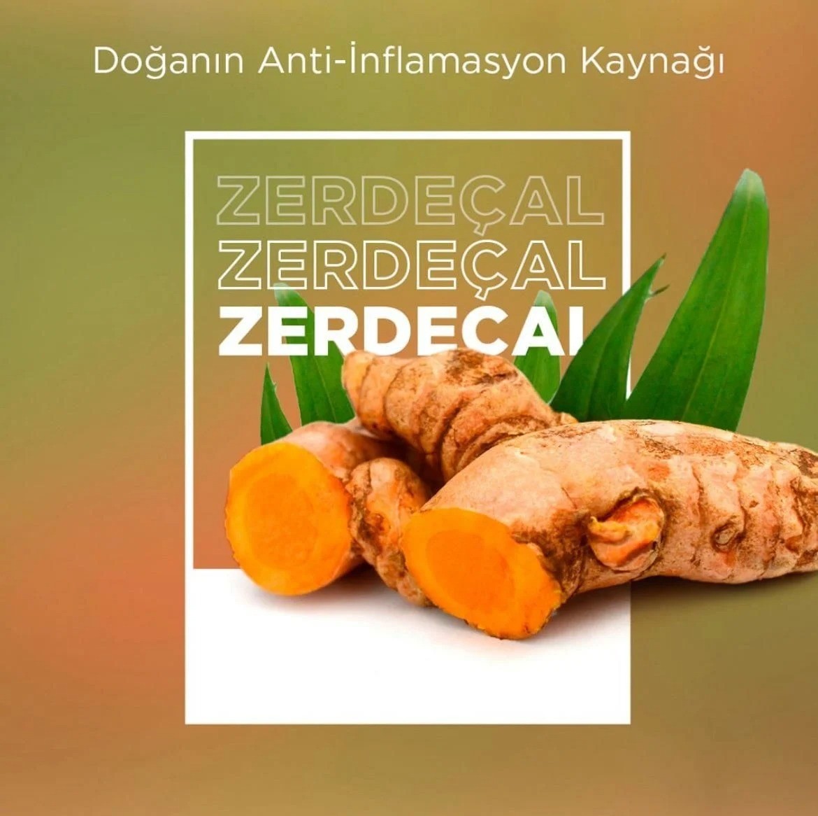 Nowlex Zerdeçal Ekxtresi Curcumin 350 Mg