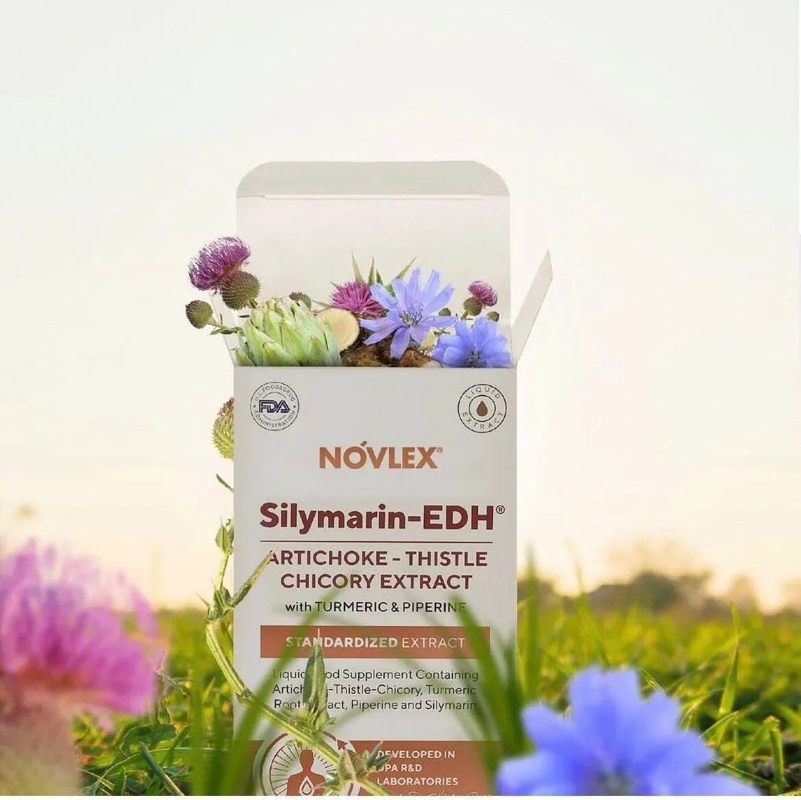 Novlex Silymarin-EDH Enginar Devedikani Hindiba Ekstresi