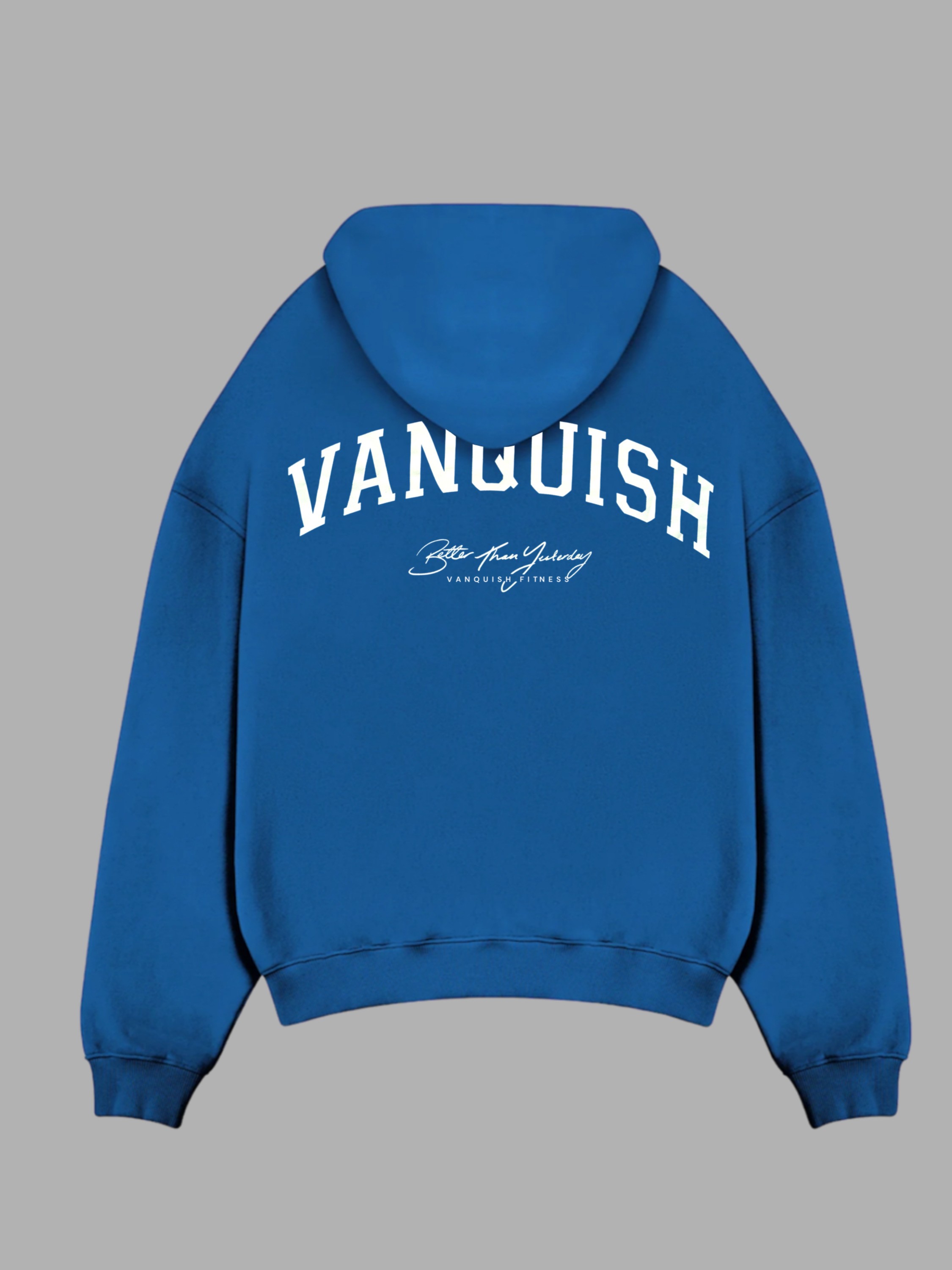 VNQSH Baskılı Oversize Sweatshirt - Mavi