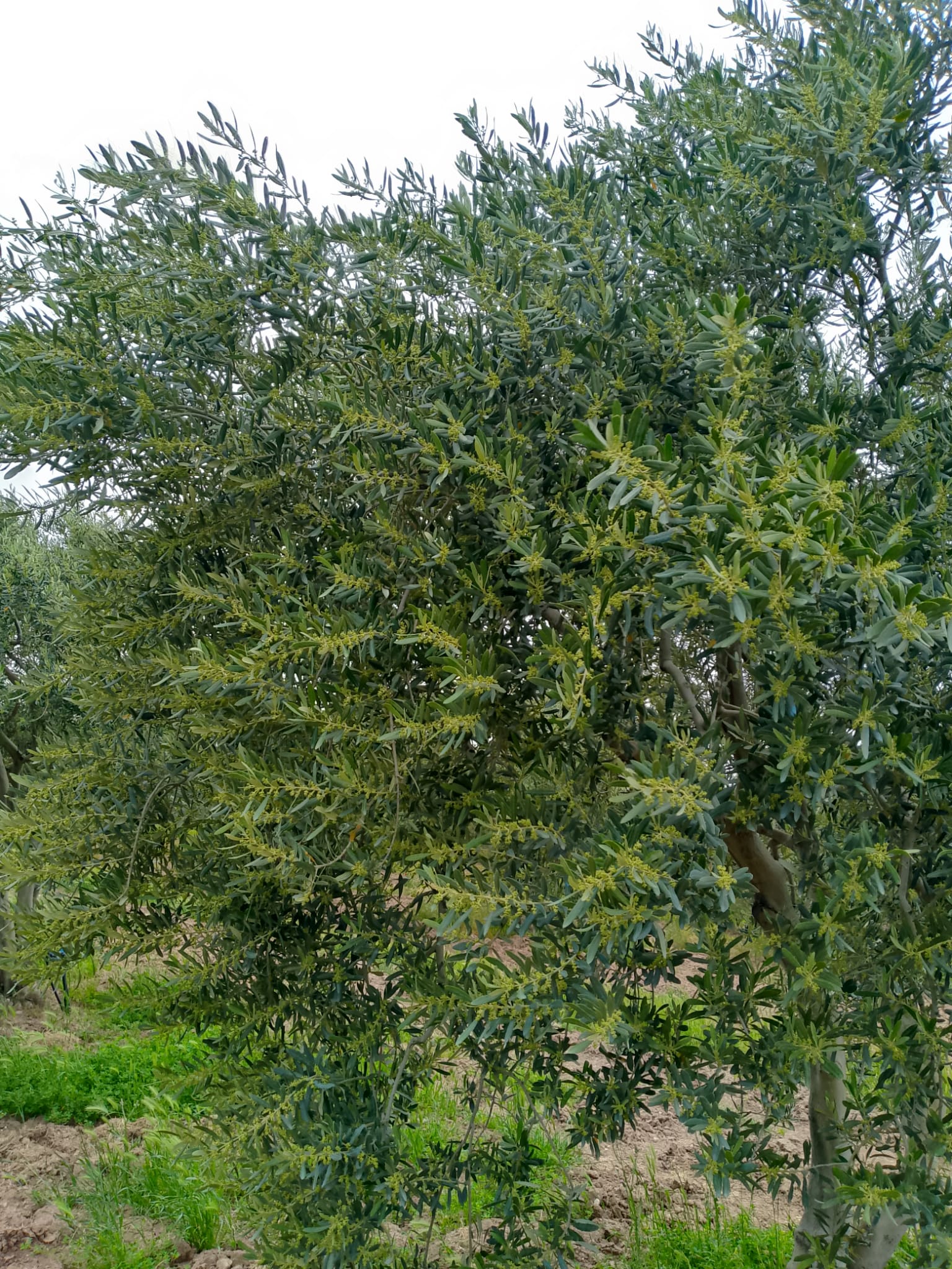 Müşteri memnuniyeti görseli