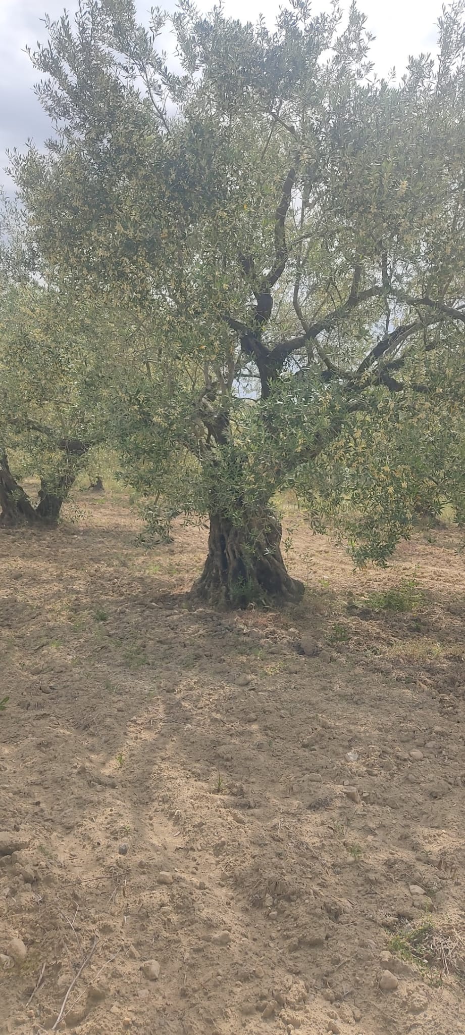 Müşteri memnuniyeti görseli