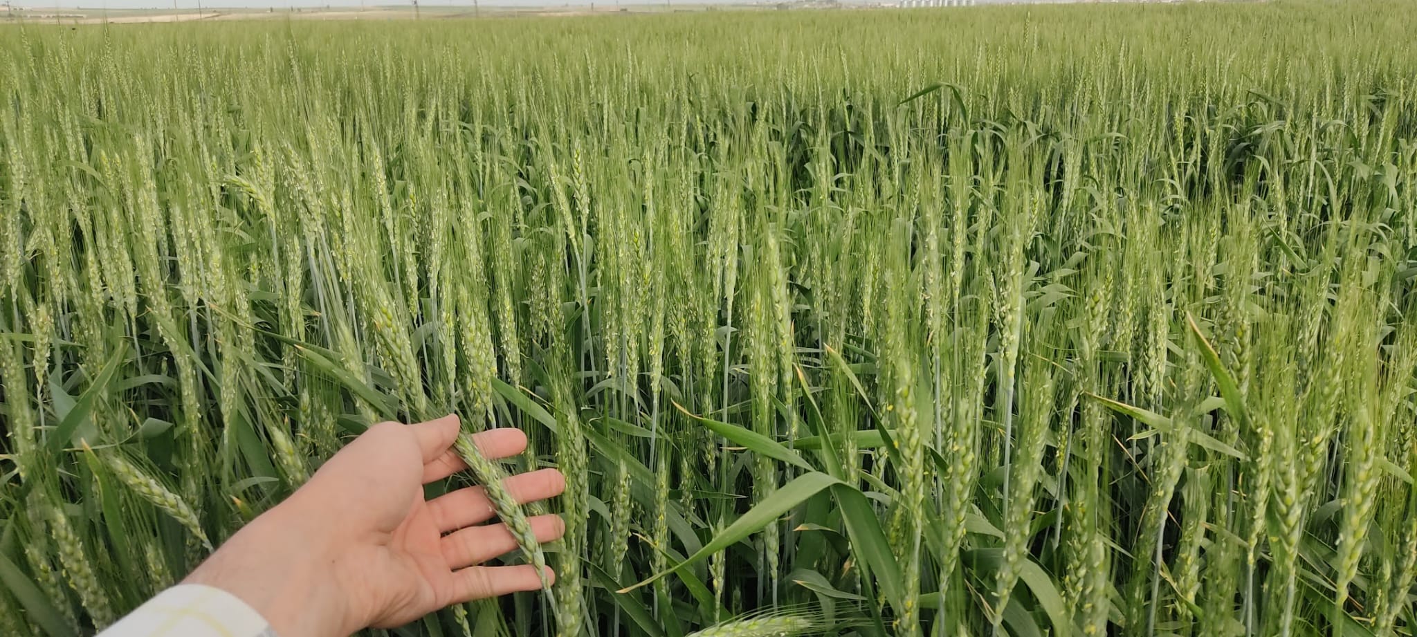 Müşteri memnuniyeti görseli