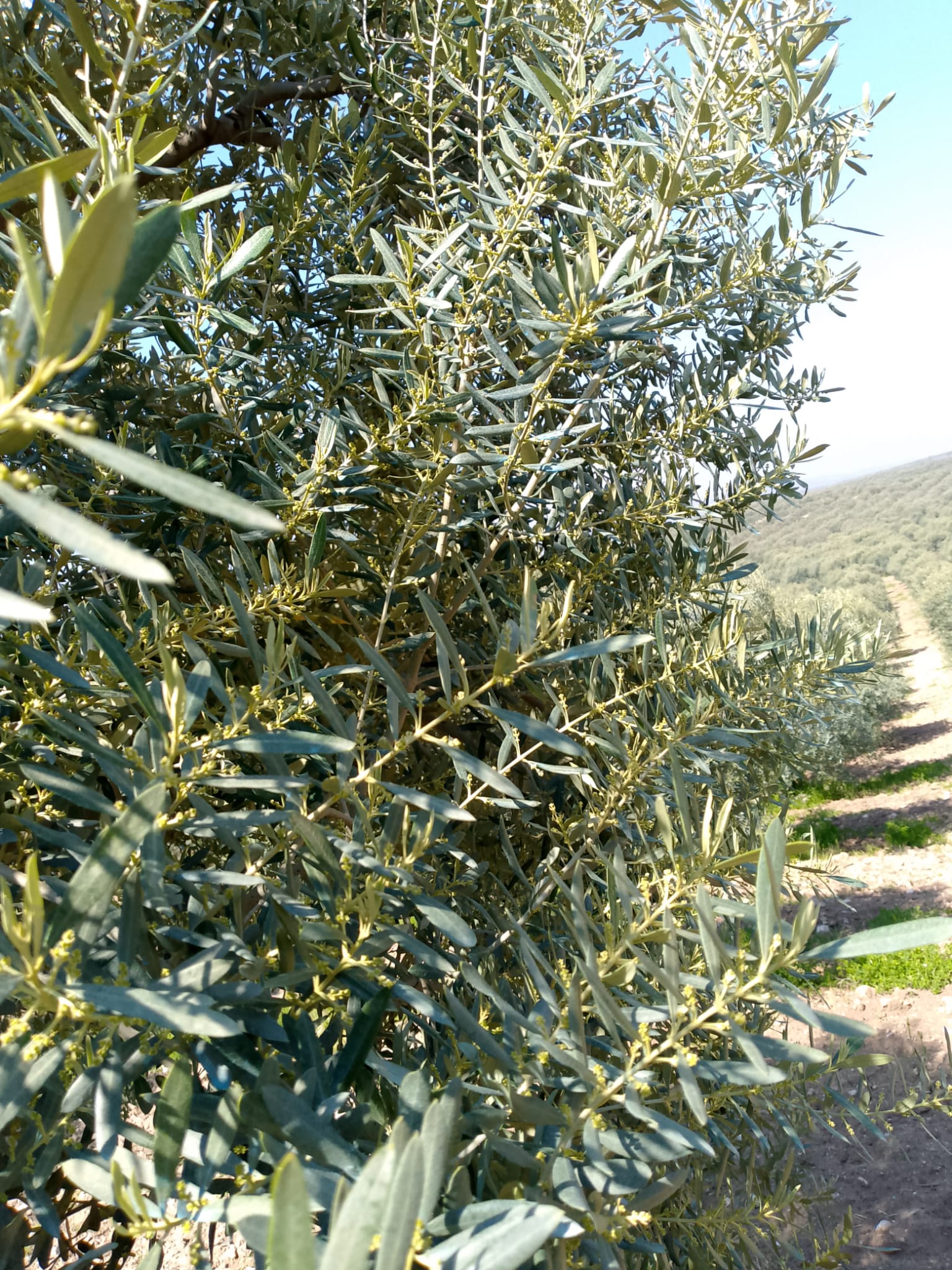 Müşteri memnuniyeti görseli