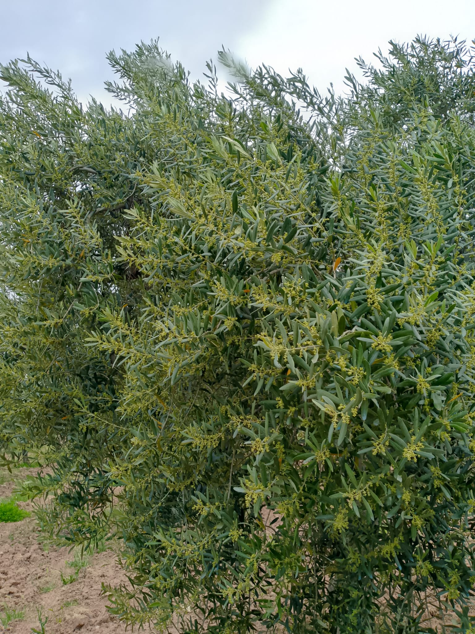 Müşteri memnuniyeti görseli