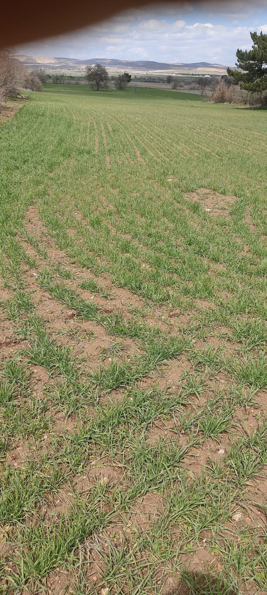 Müşteri memnuniyeti görseli