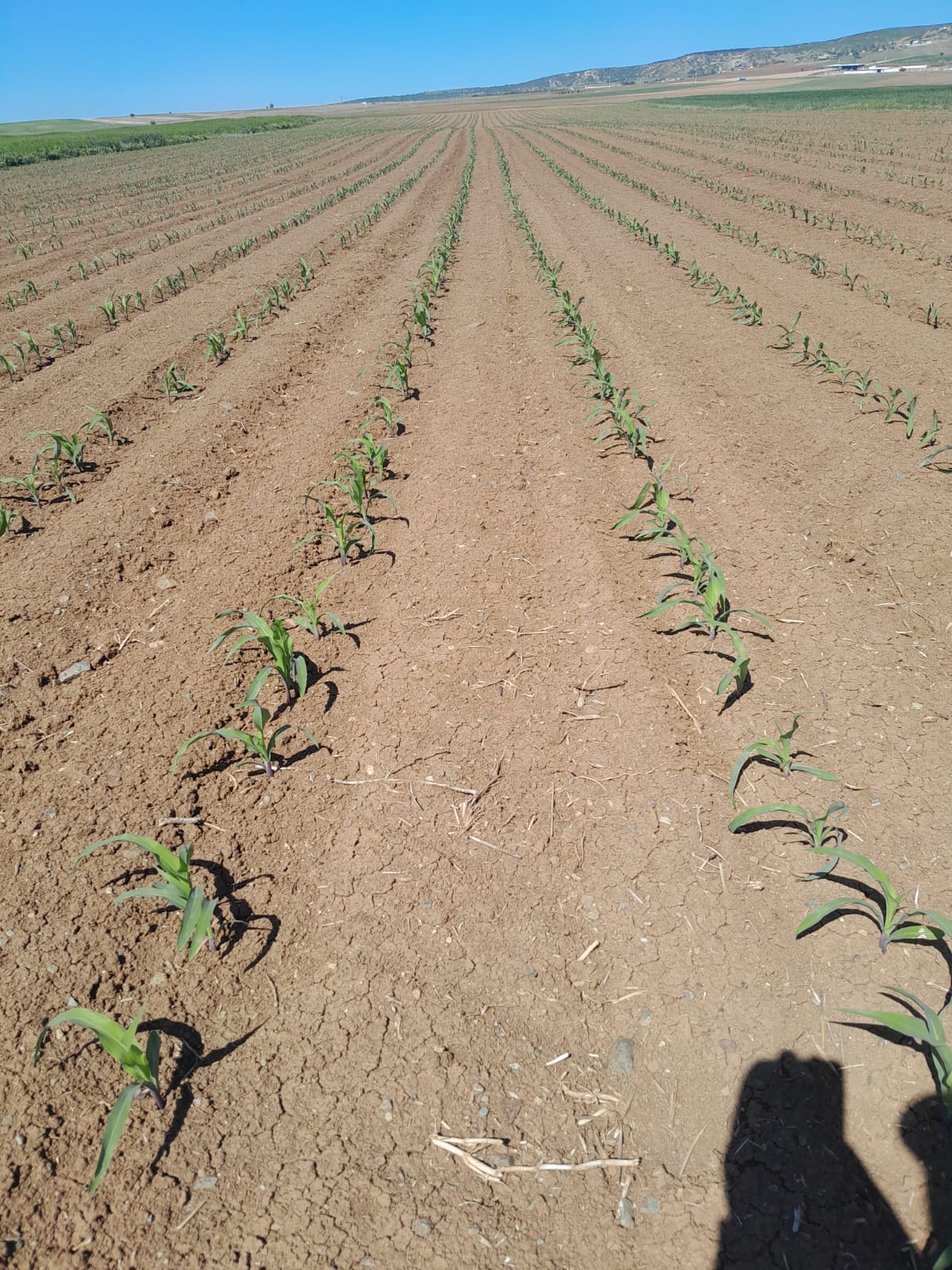 Müşteri memnuniyeti görseli