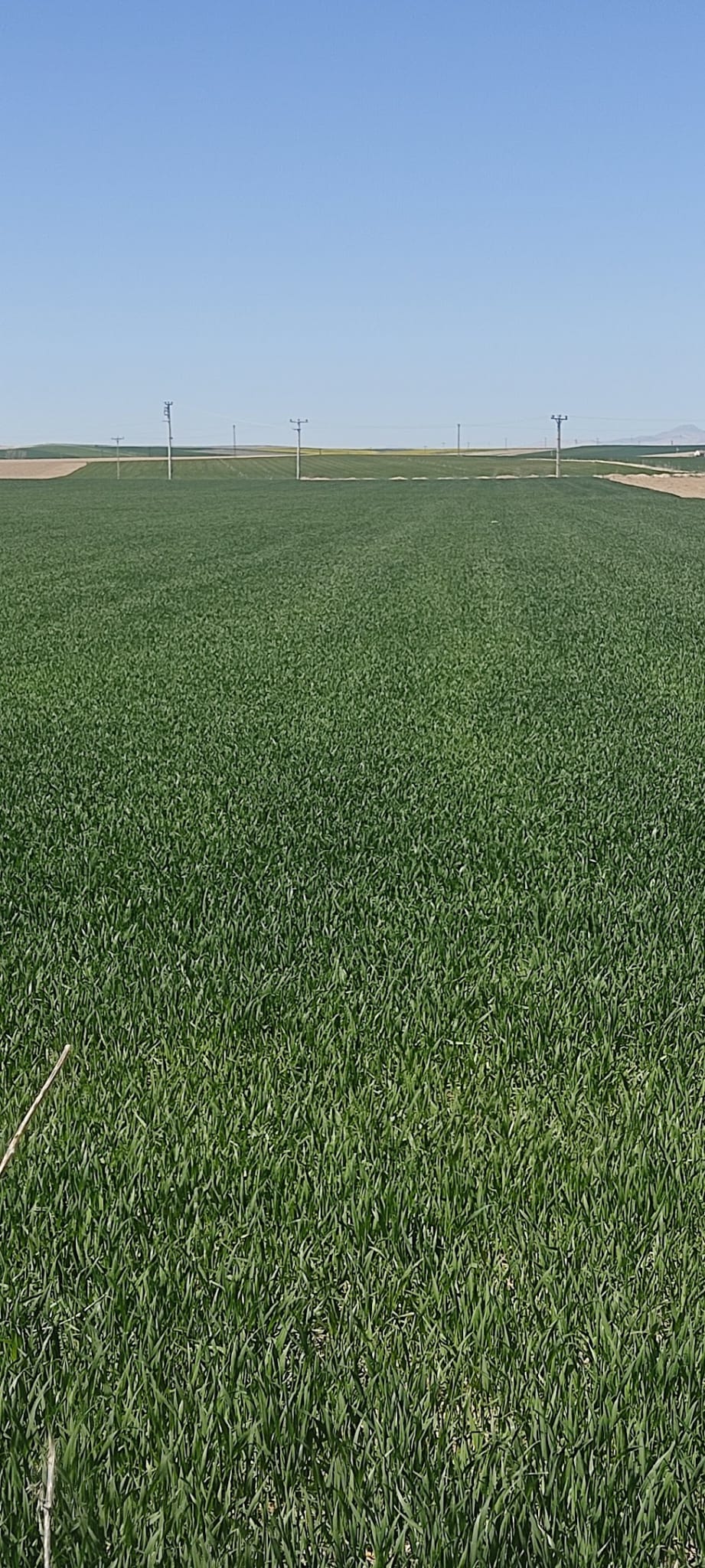 Müşteri memnuniyeti görseli