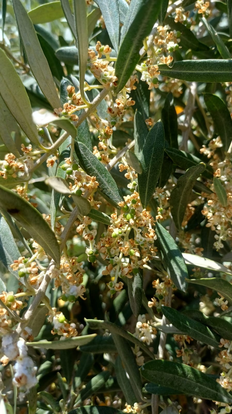 Müşteri memnuniyeti görseli