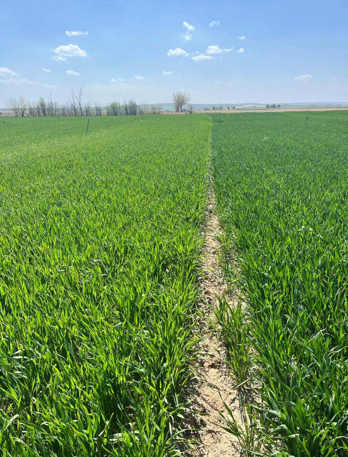 Müşteri memnuniyeti görseli