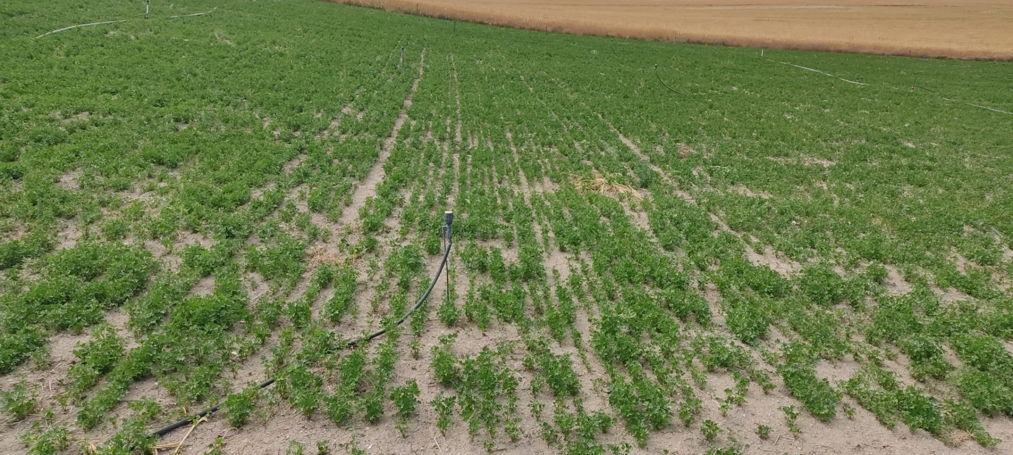 Müşteri memnuniyeti görseli