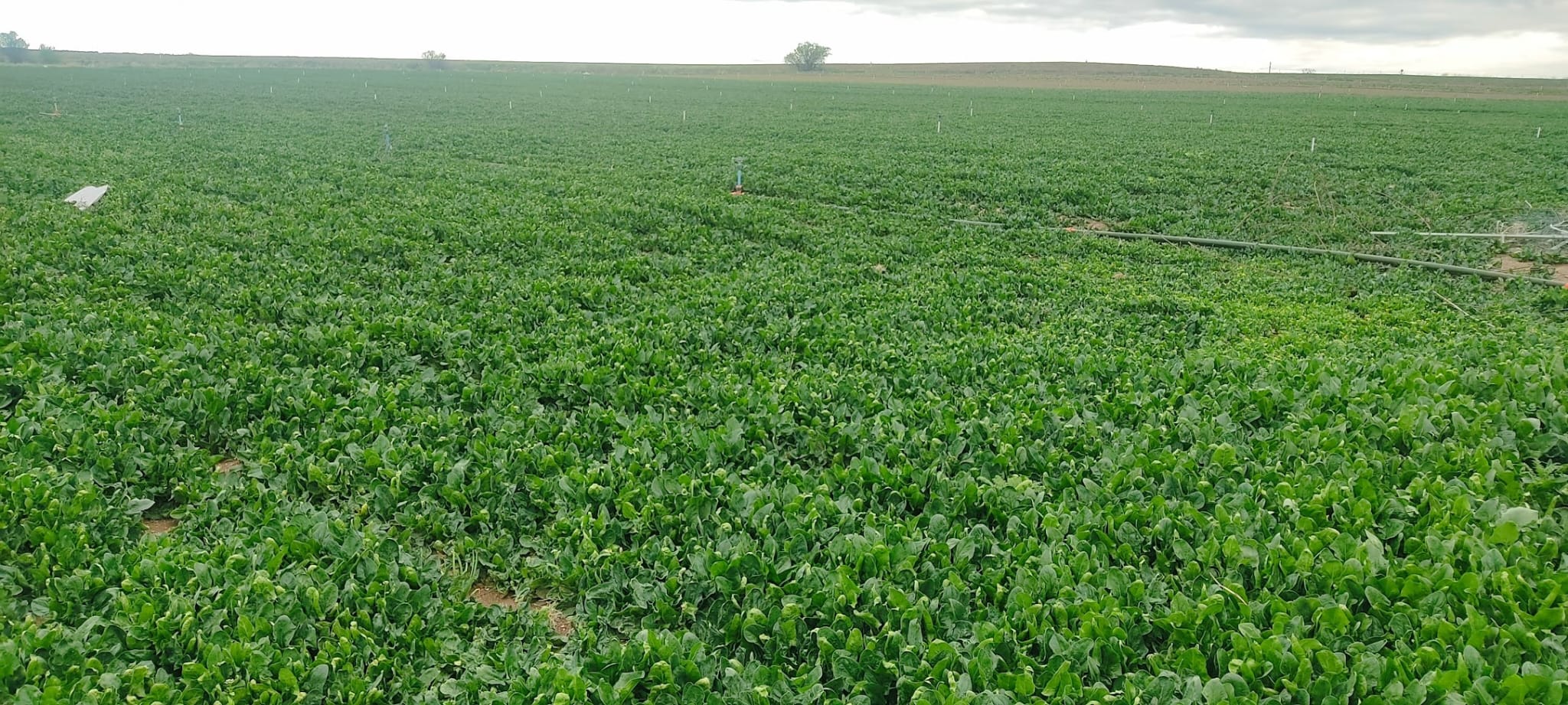 Müşteri memnuniyeti görseli