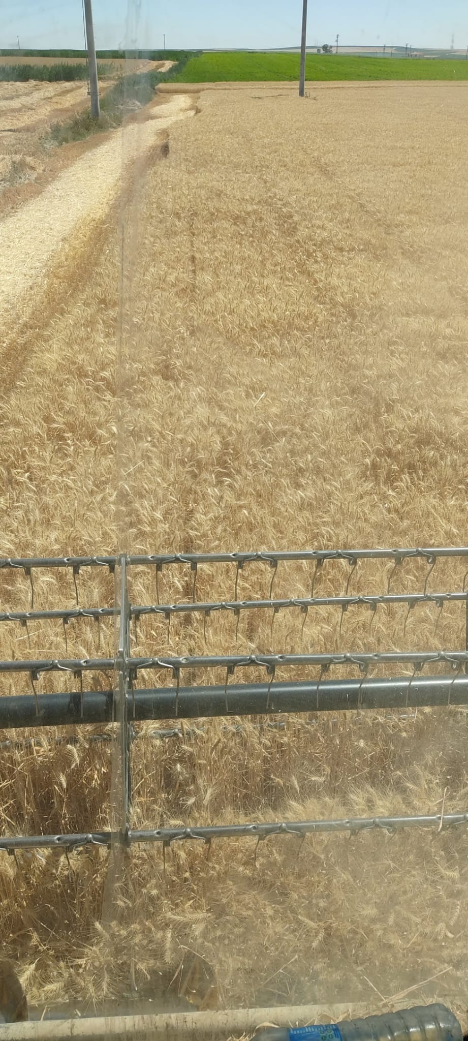 Müşteri memnuniyeti görseli