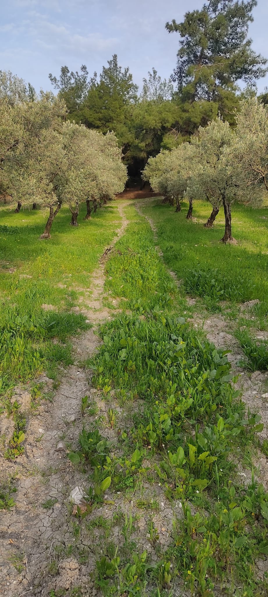 Müşteri memnuniyeti görseli