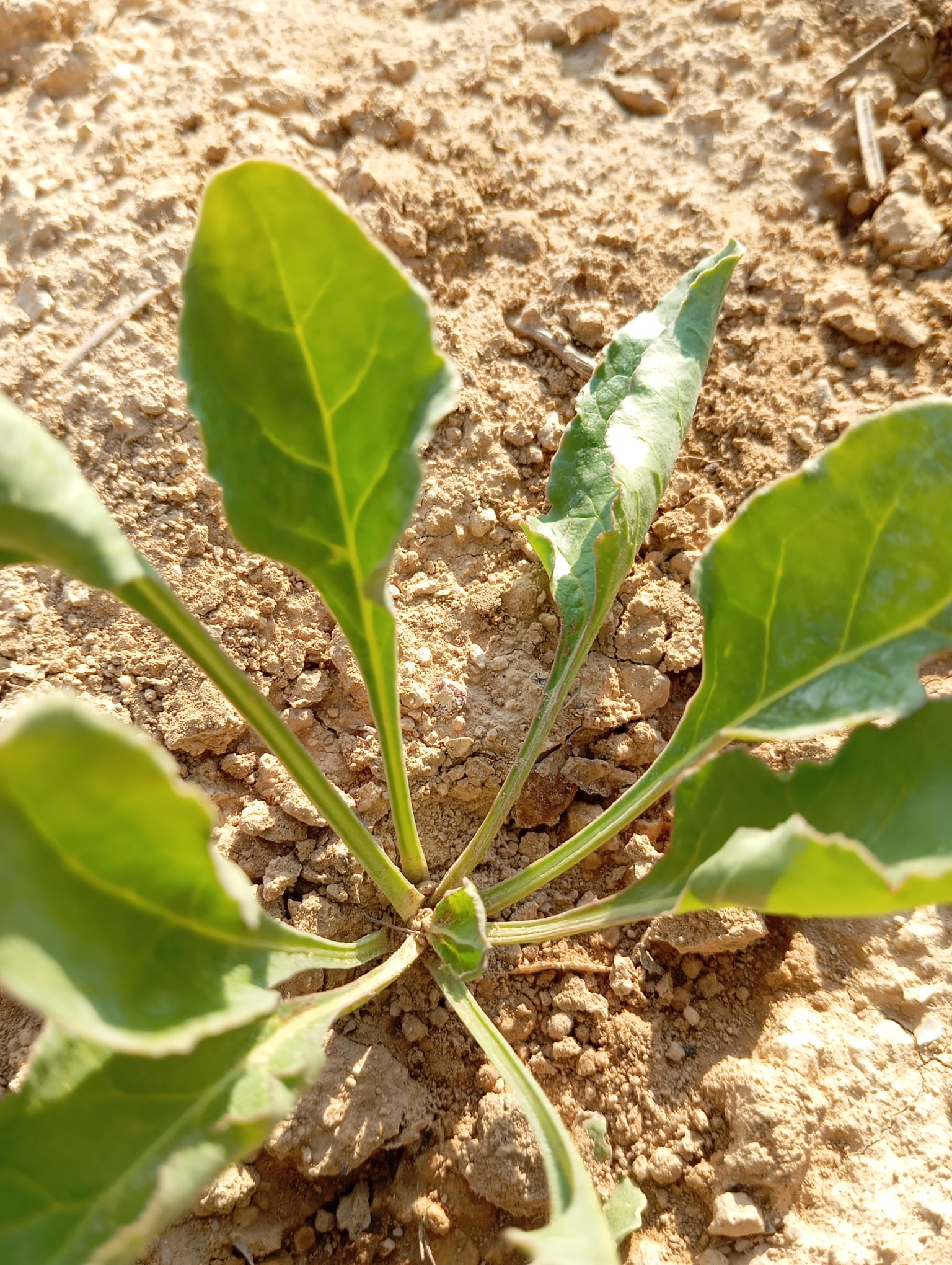 Müşteri memnuniyeti görseli