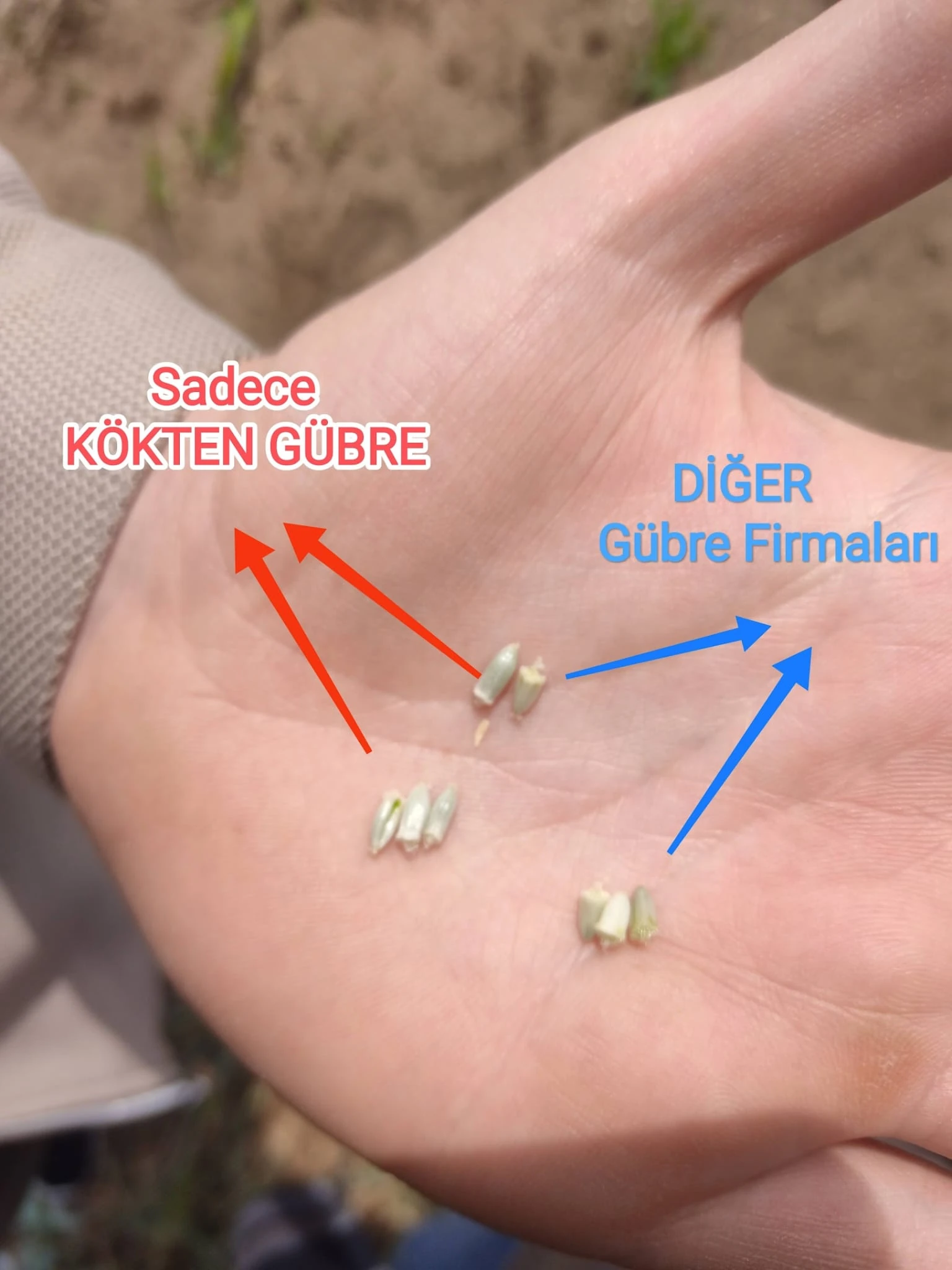 Müşteri memnuniyeti görseli