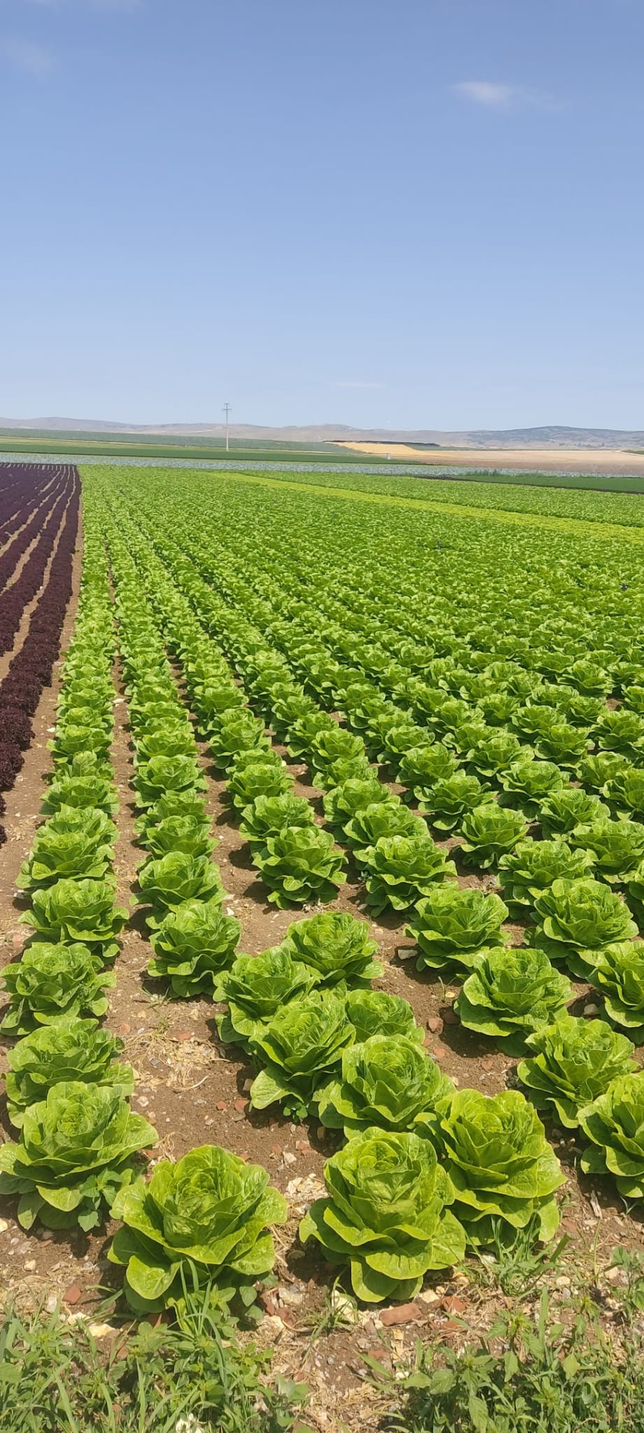 Müşteri memnuniyeti görseli