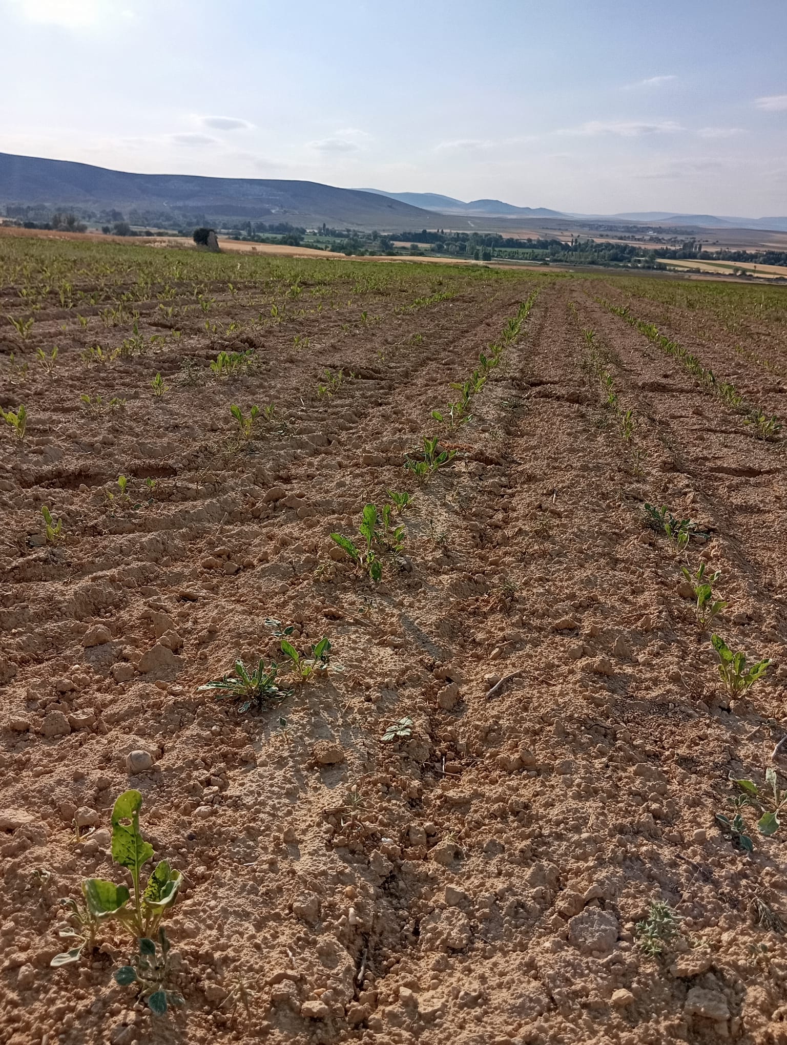 Müşteri memnuniyeti görseli