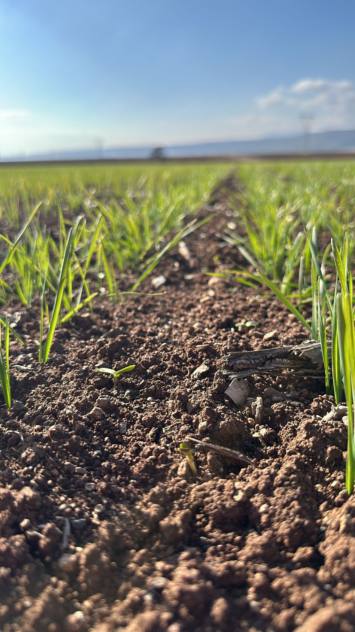 Müşteri memnuniyeti görseli