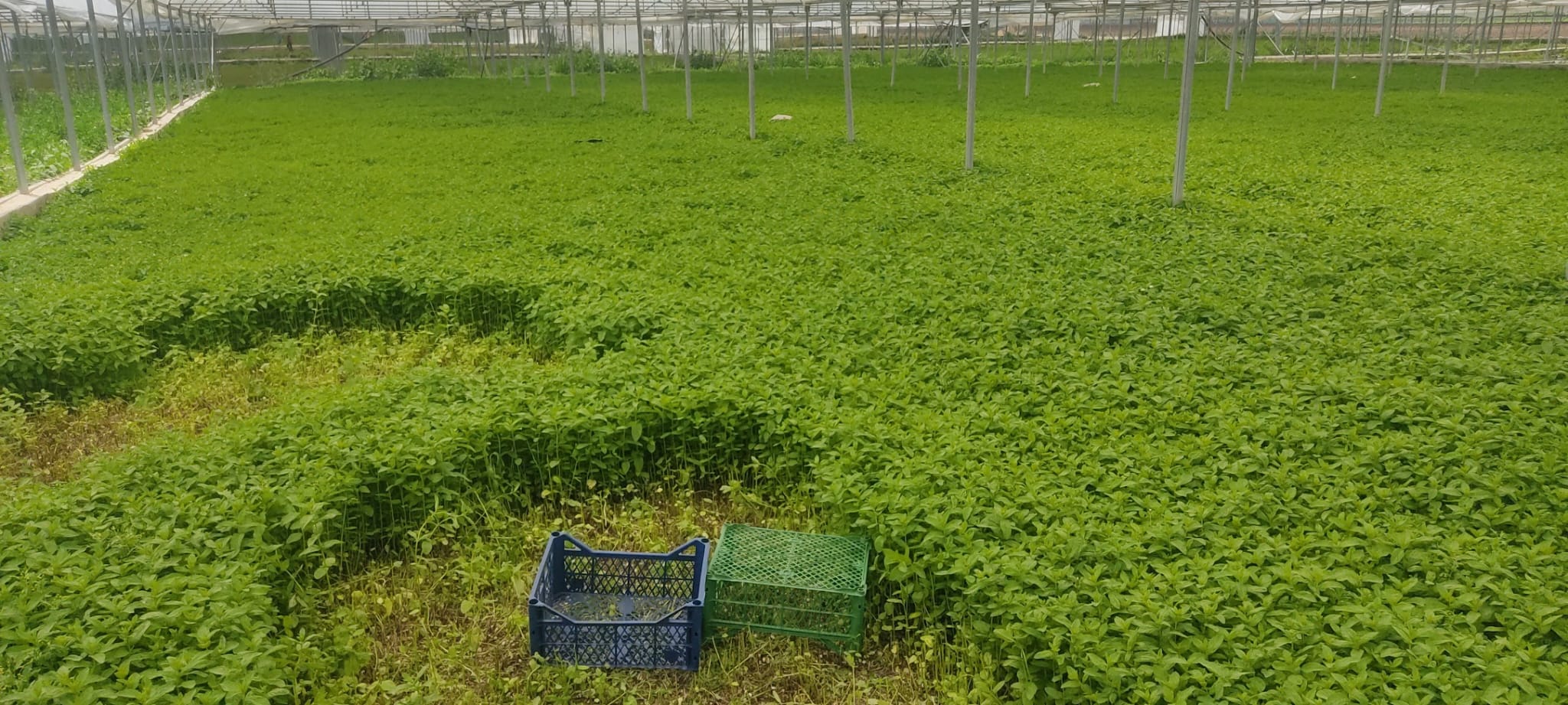 Müşteri memnuniyeti görseli