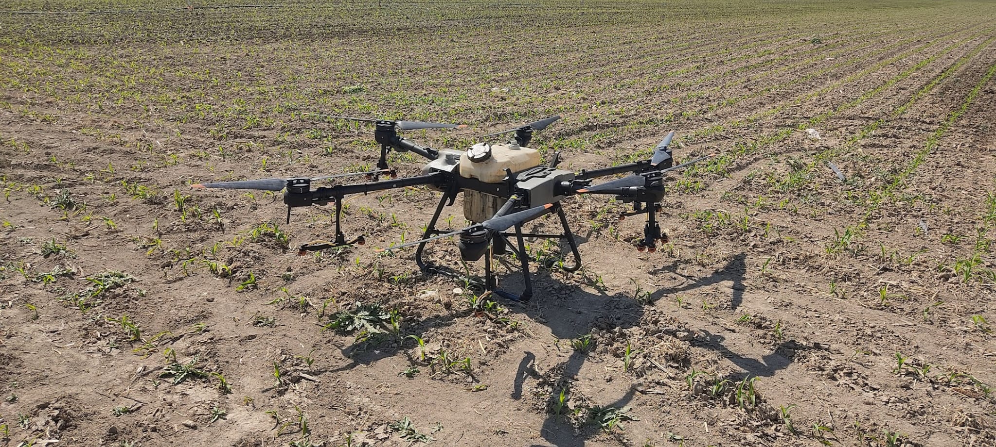 Müşteri memnuniyeti görseli