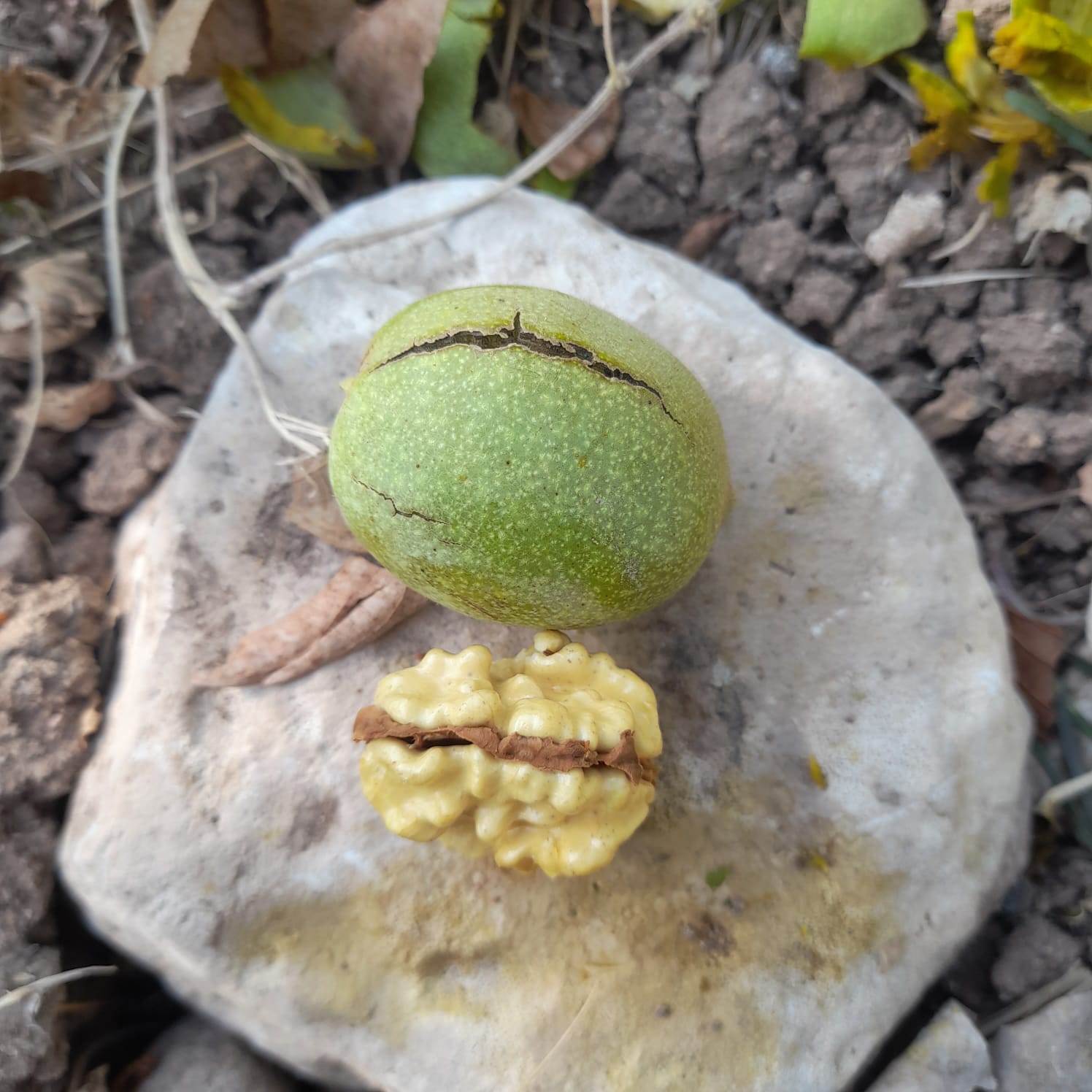 Müşteri memnuniyeti görseli